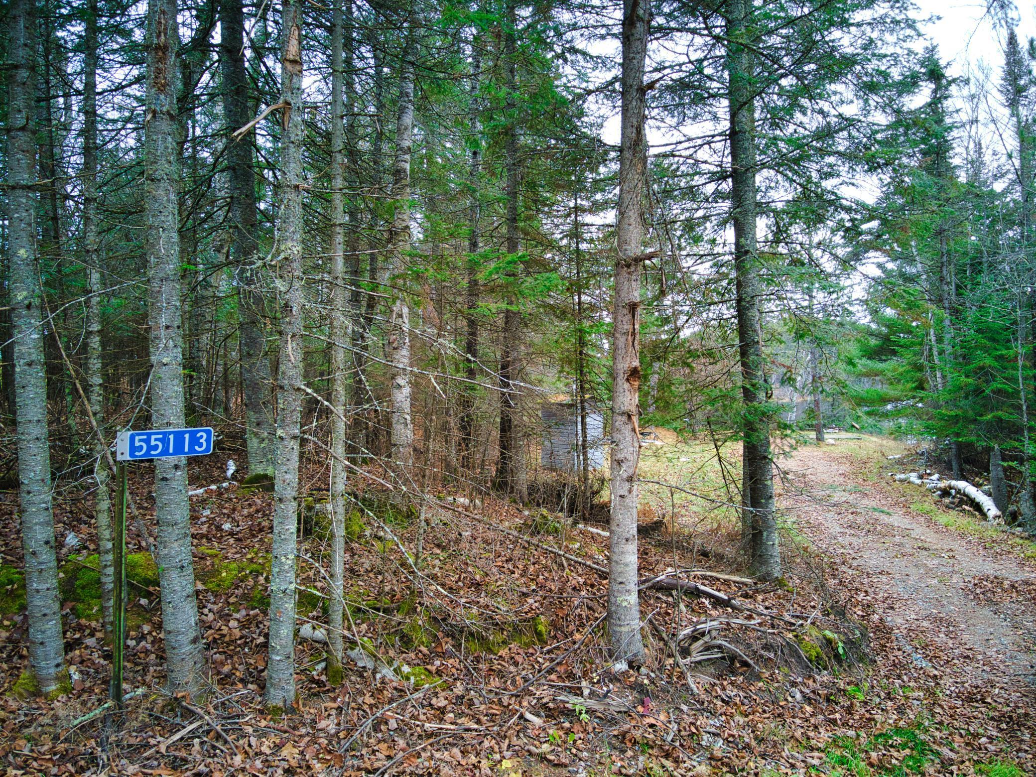 55113 Owen Lake Road, Bigfork, Minnesota image 22