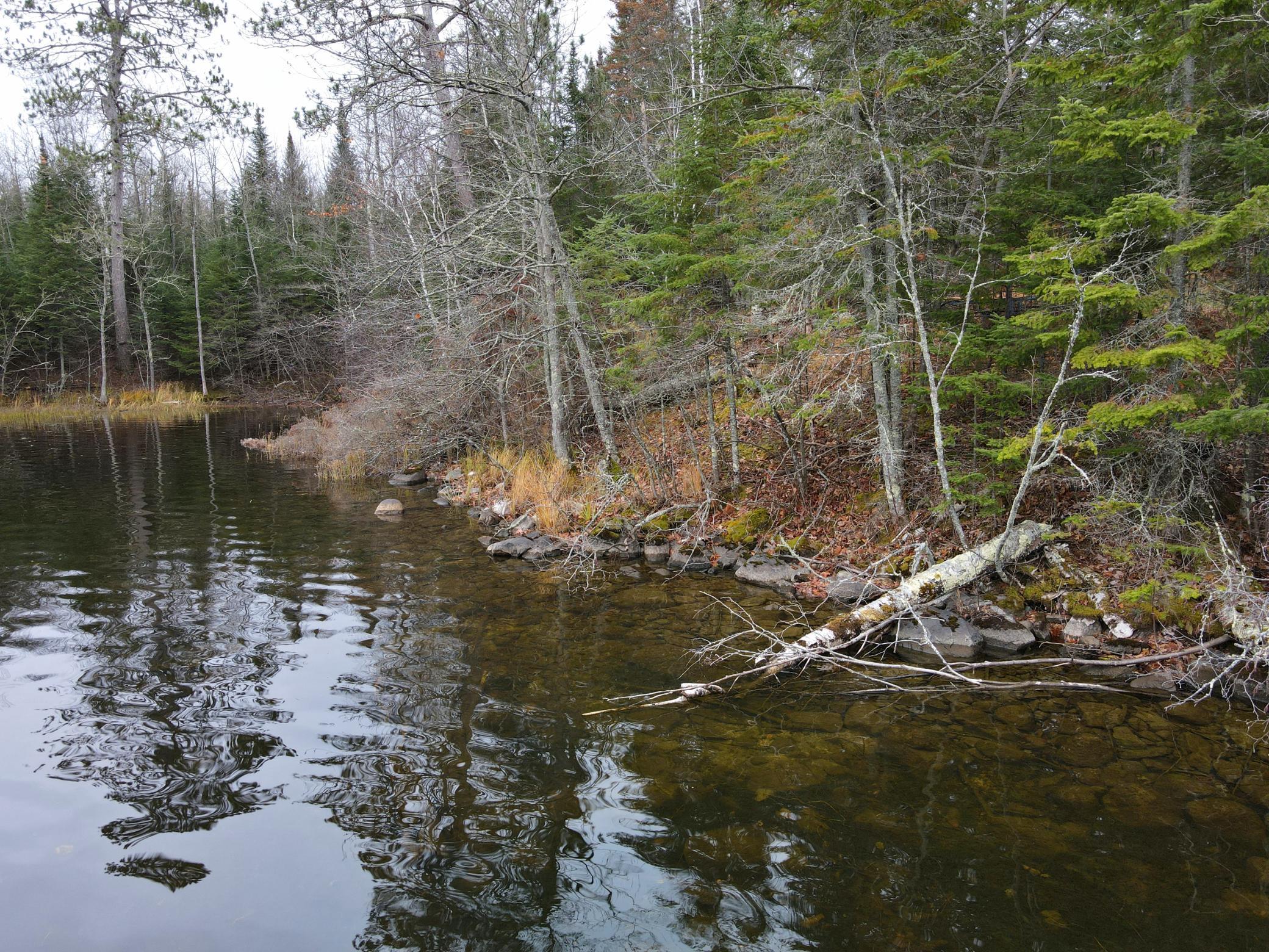 55113 Owen Lake Road, Bigfork, Minnesota image 19