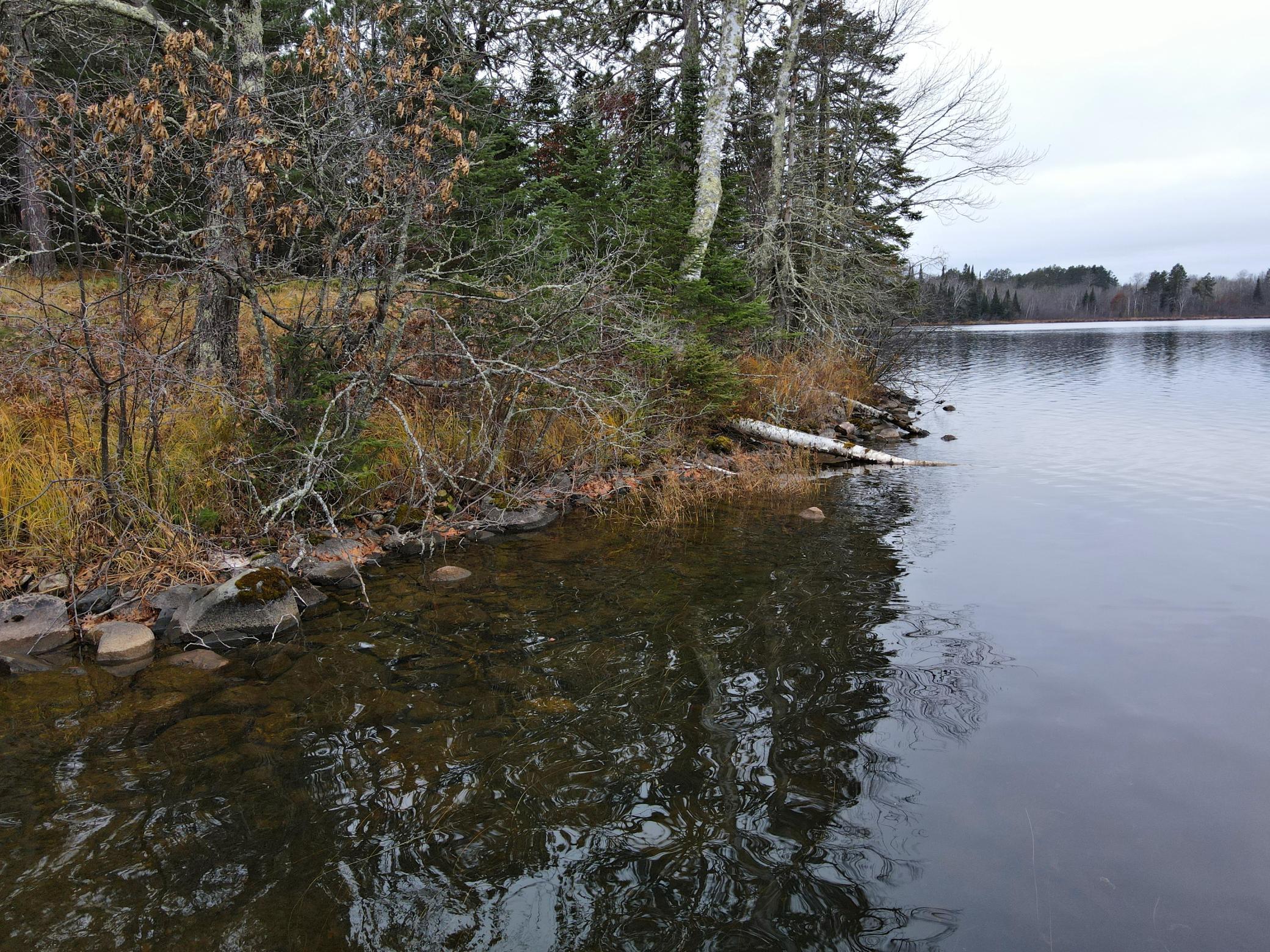 55113 Owen Lake Road, Bigfork, Minnesota image 20