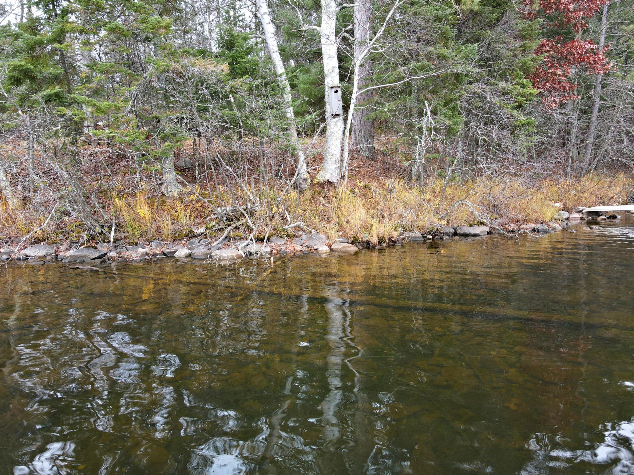 55113 Owen Lake Road, Bigfork, Minnesota image 21