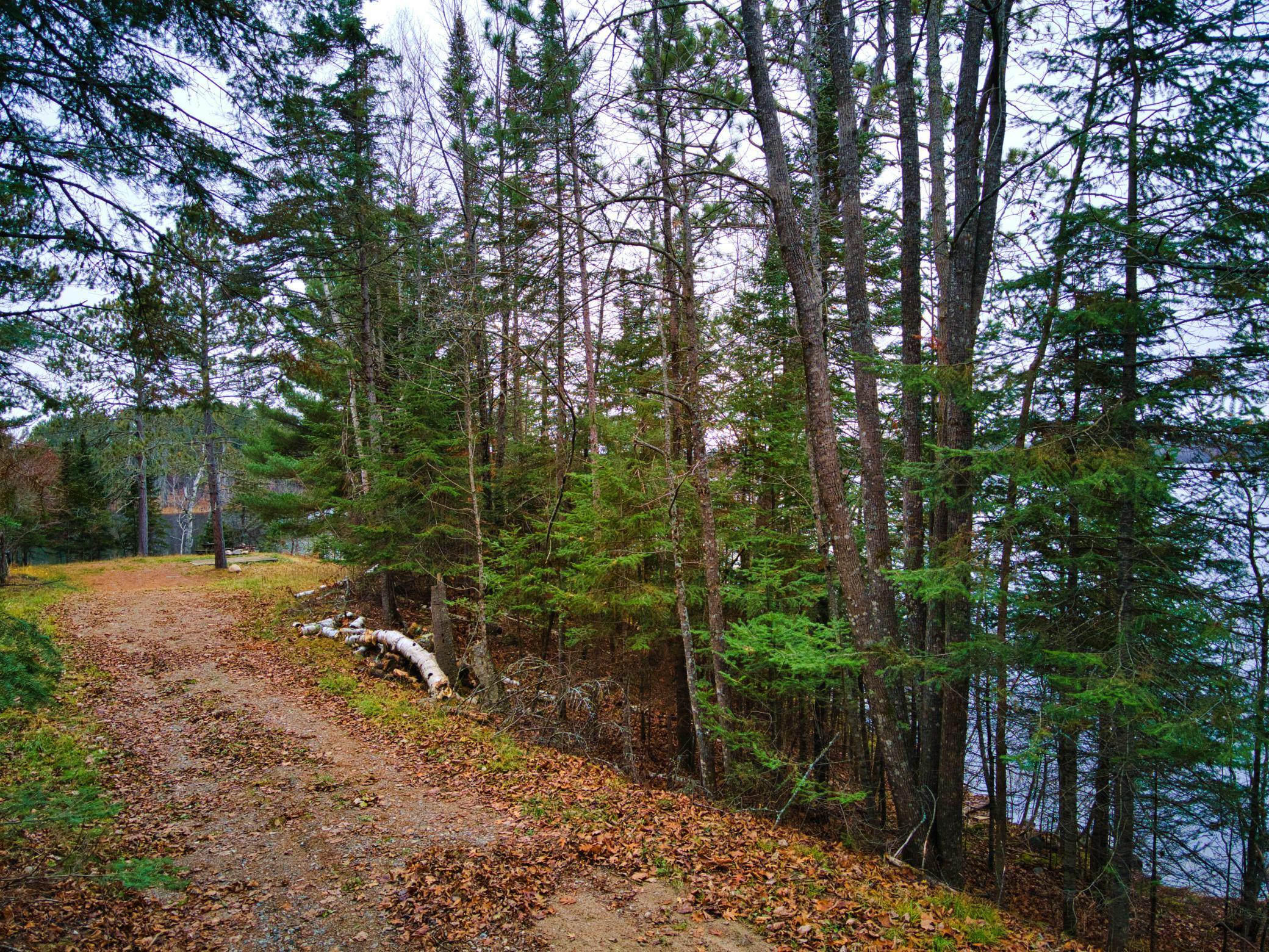 55113 Owen Lake Road, Bigfork, Minnesota image 23