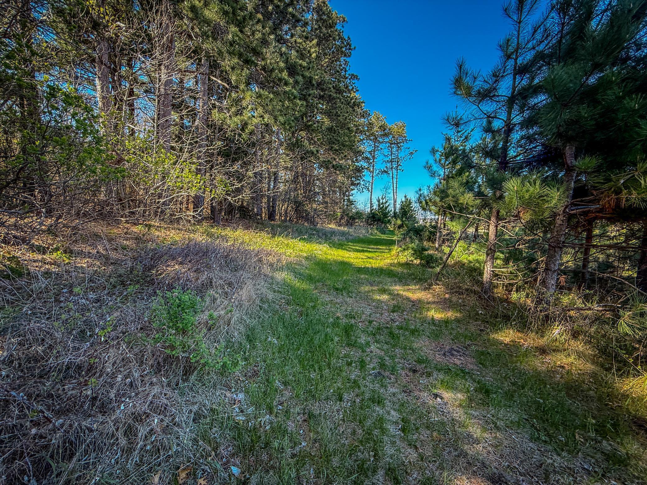 Xxx County 14 Boulevard, Cannon Falls, Minnesota image 25