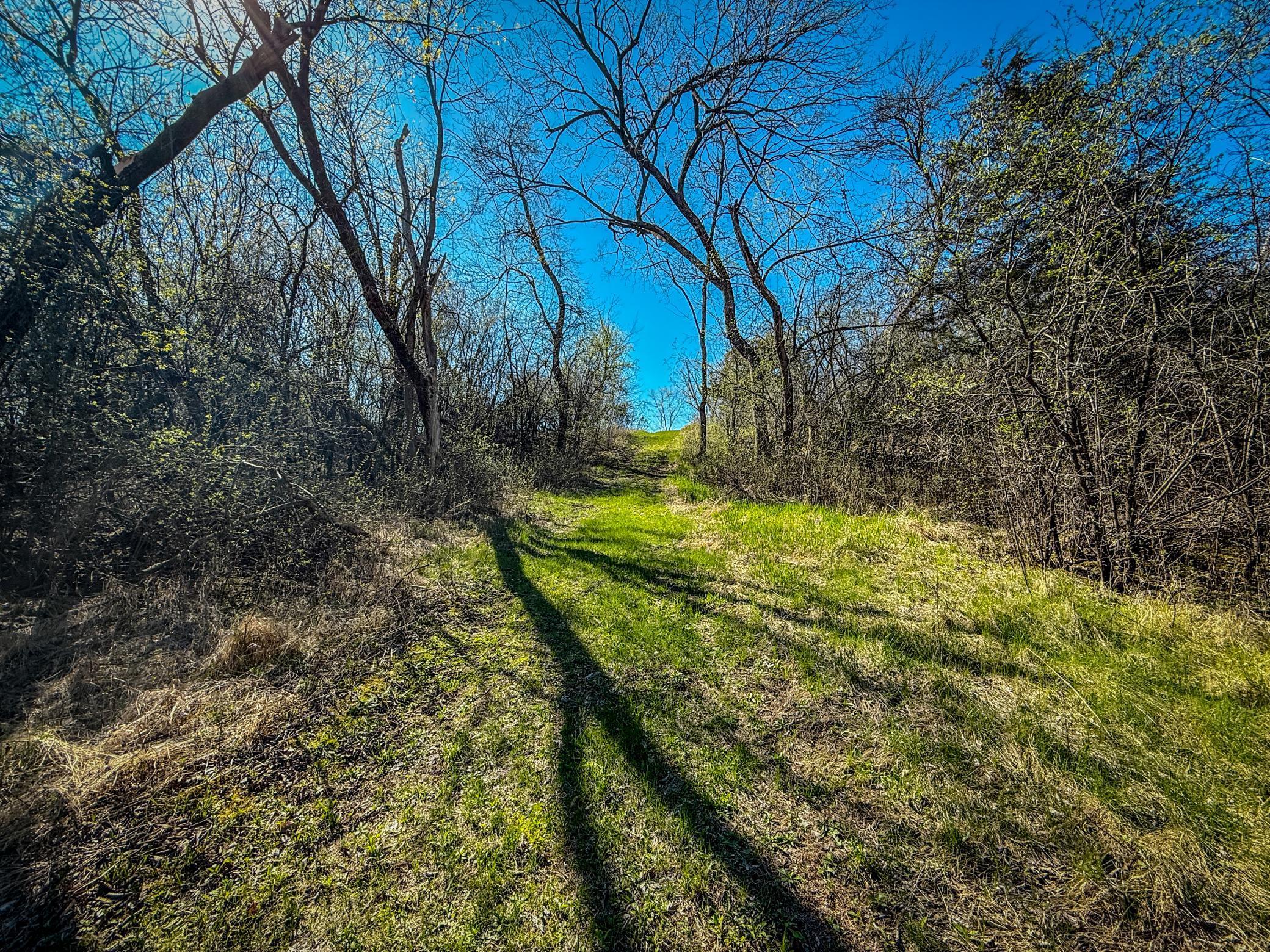 Xxx County 14 Boulevard, Cannon Falls, Minnesota image 23