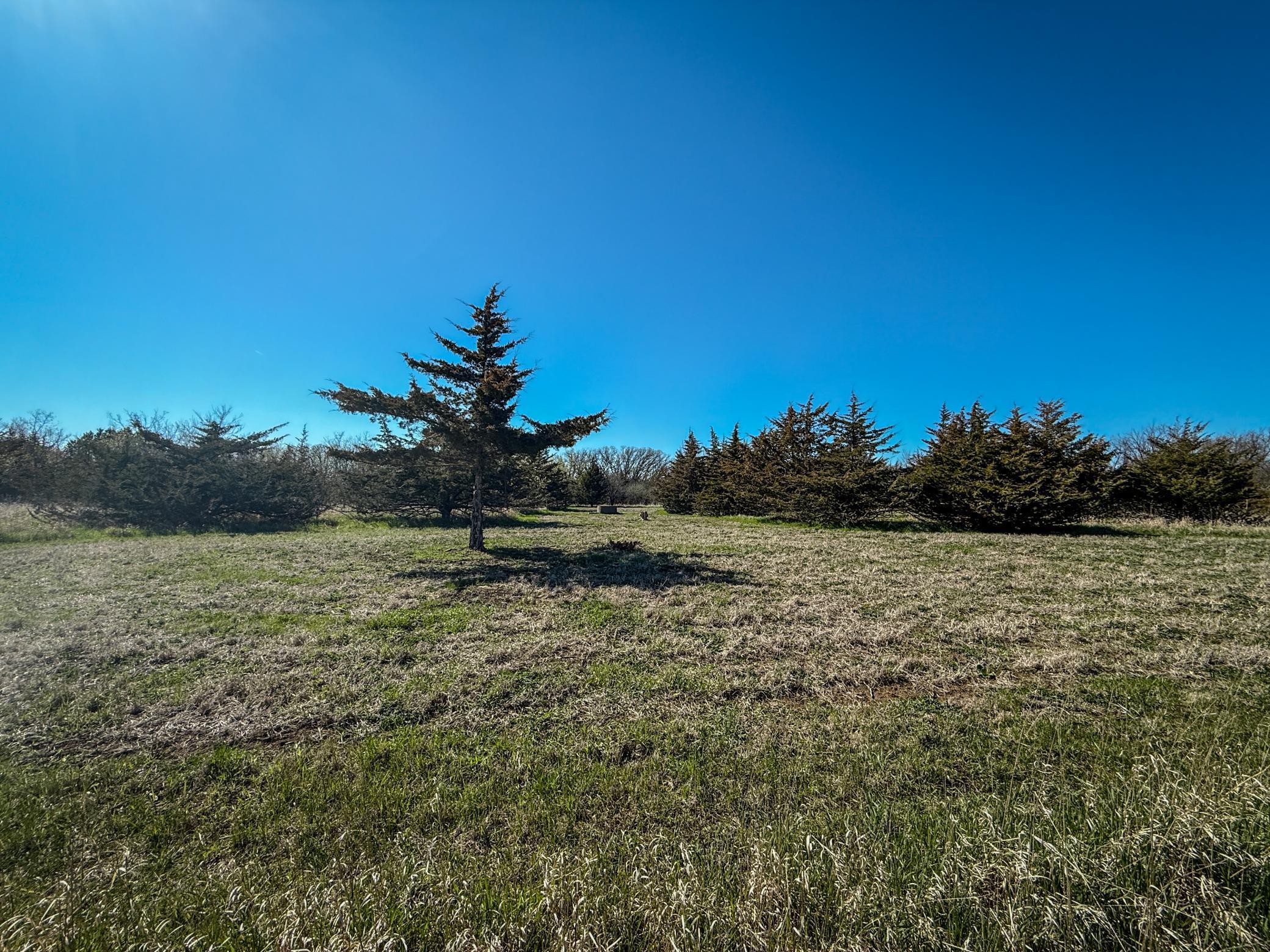 Xxx County 14 Boulevard, Cannon Falls, Minnesota image 17