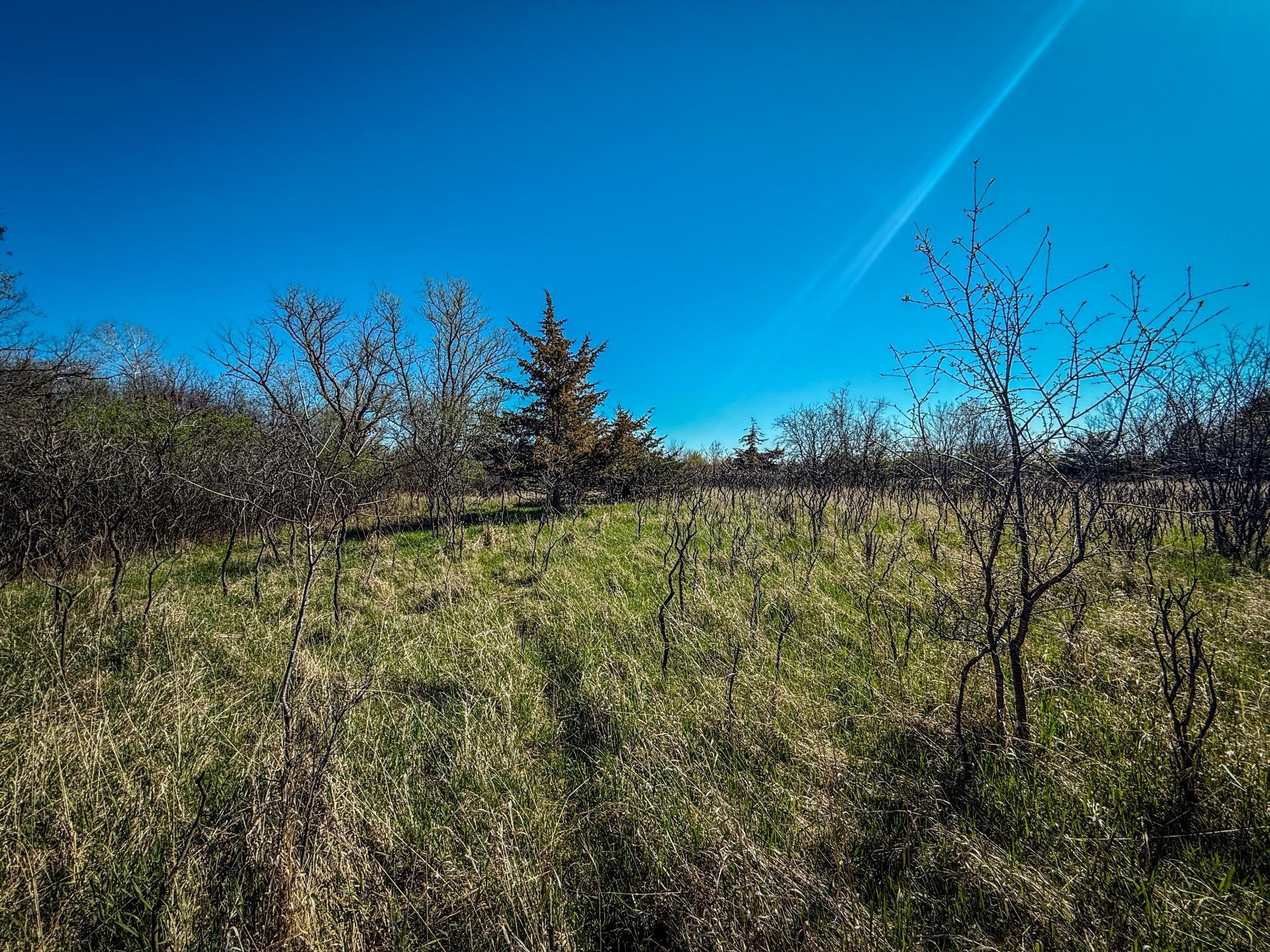 Xxx County 14 Boulevard, Cannon Falls, Minnesota image 15