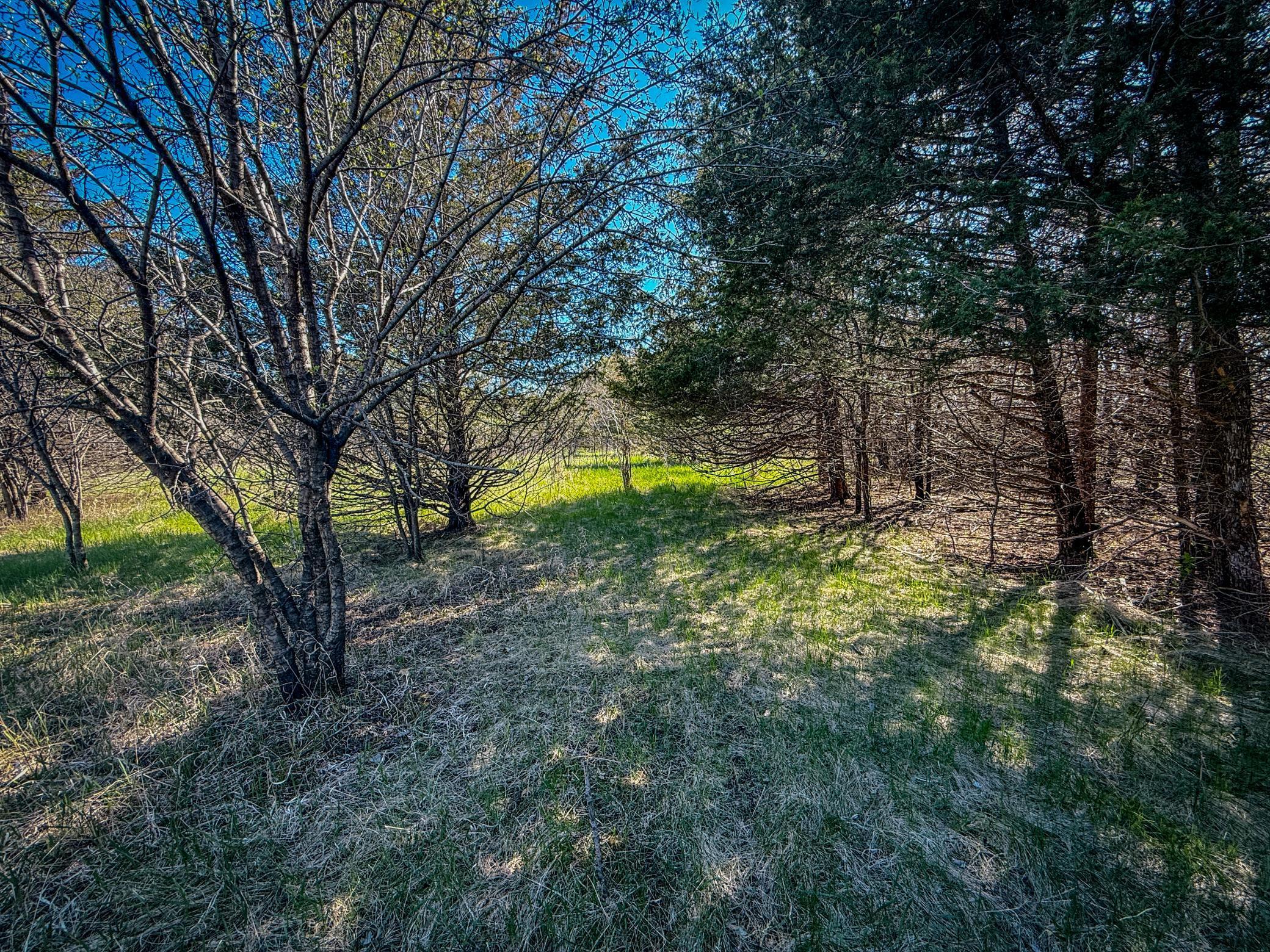 Xxx County 14 Boulevard, Cannon Falls, Minnesota image 21