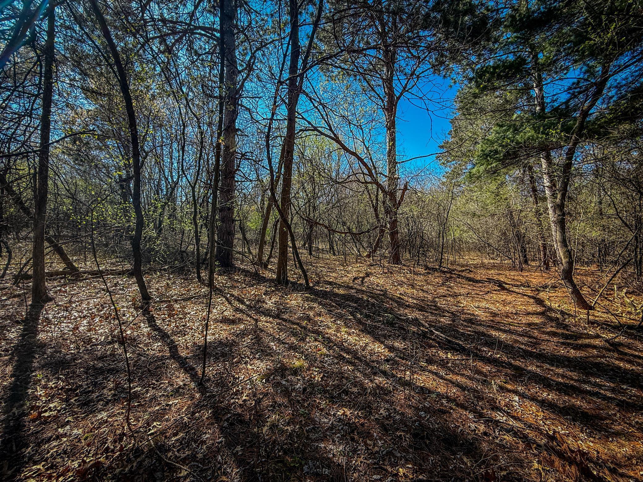 Xxx County 14 Boulevard, Cannon Falls, Minnesota image 13