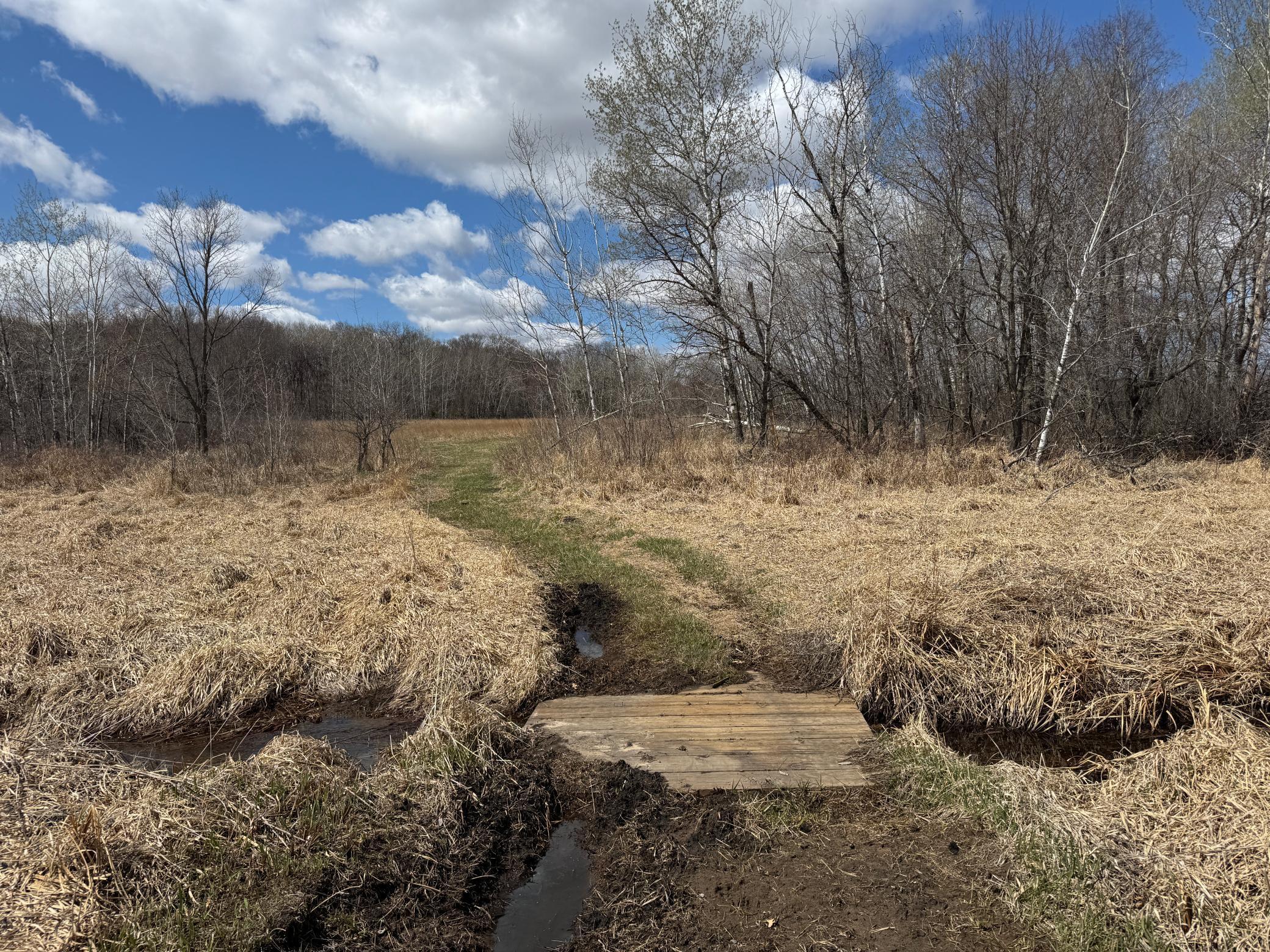 TBD Palisade Street, East Bethel, Minnesota image 28