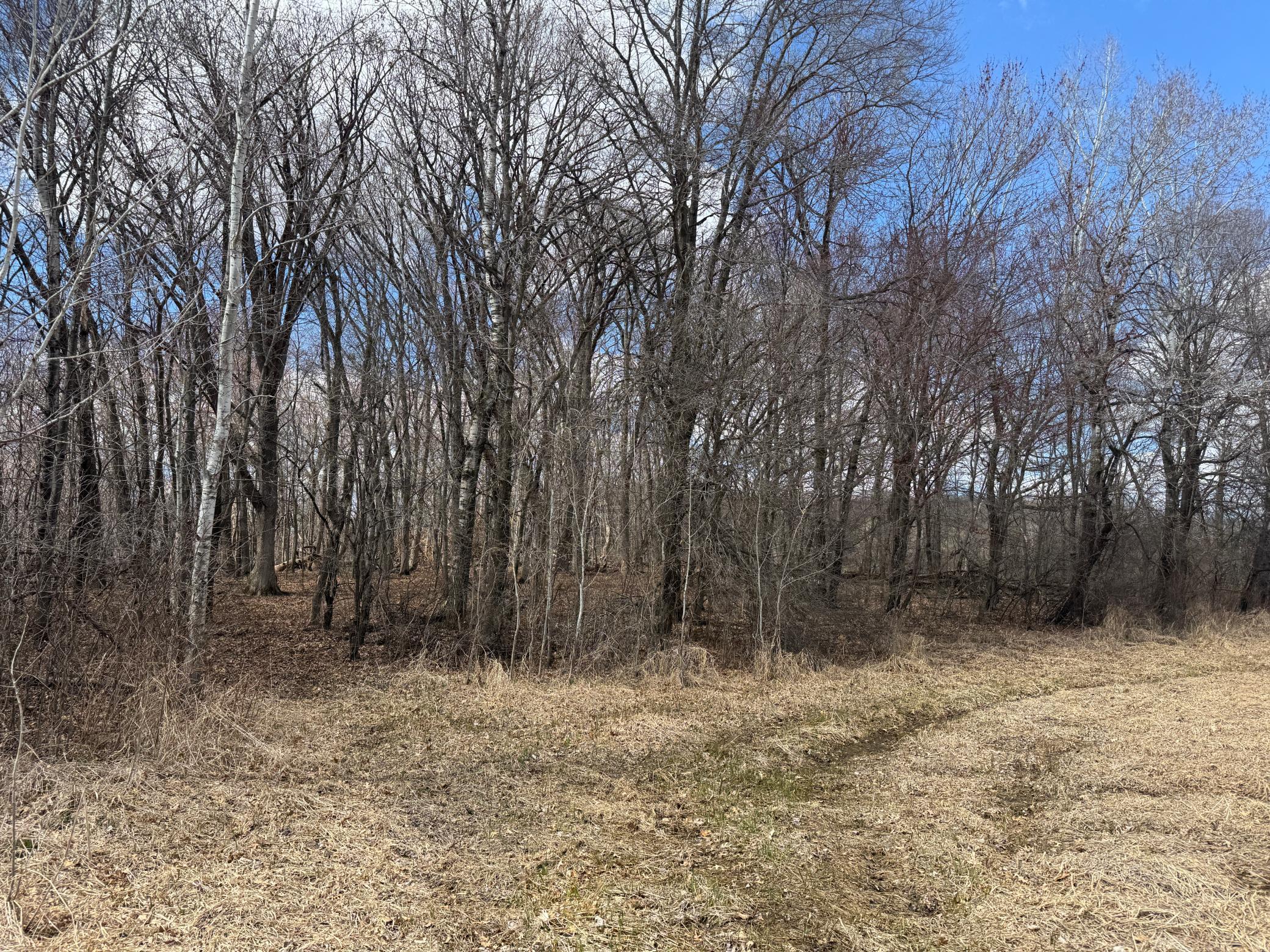 TBD Palisade Street, East Bethel, Minnesota image 35
