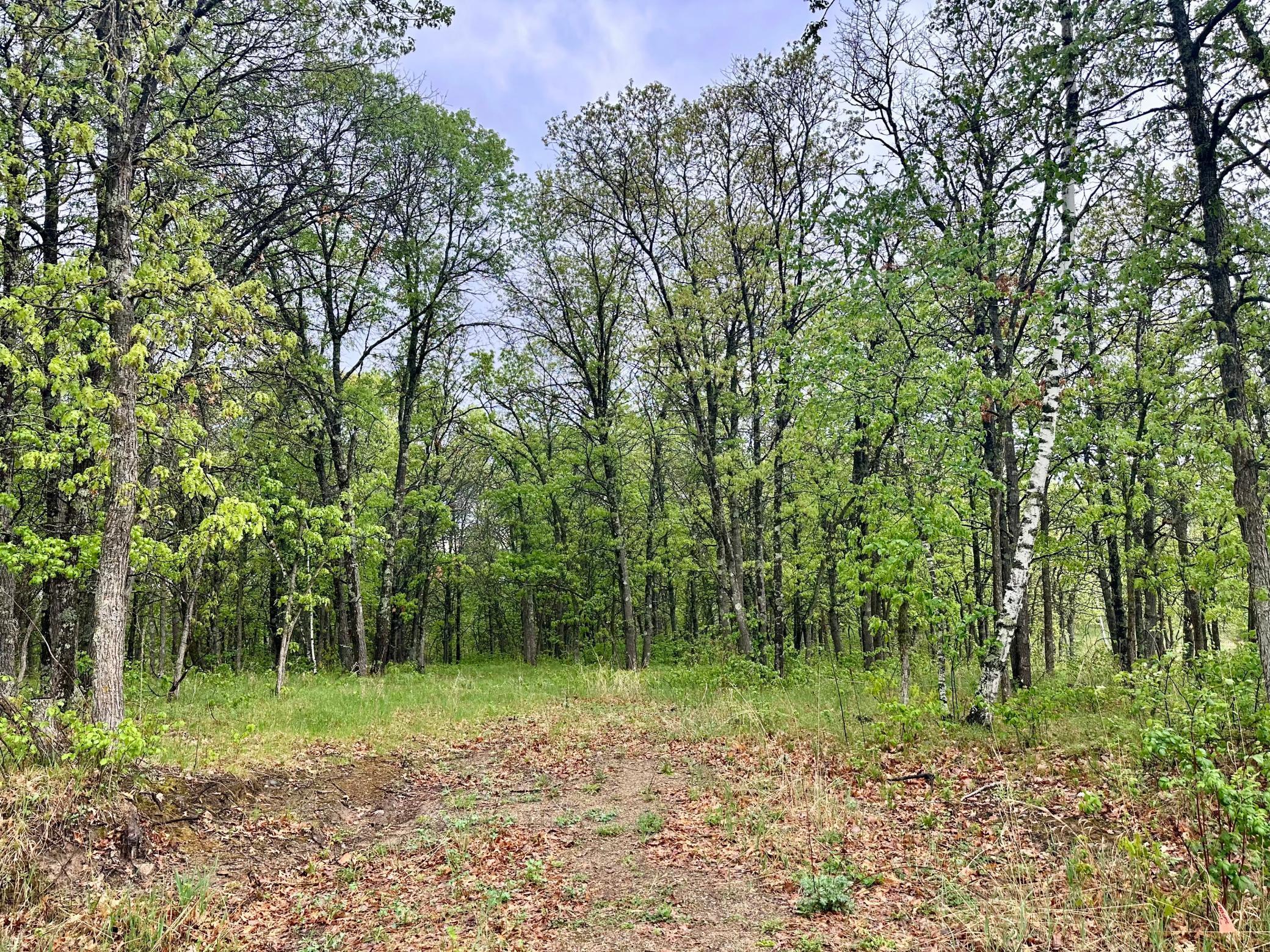 TBD Lot 3 204th St, Park Rapids, Minnesota image 2