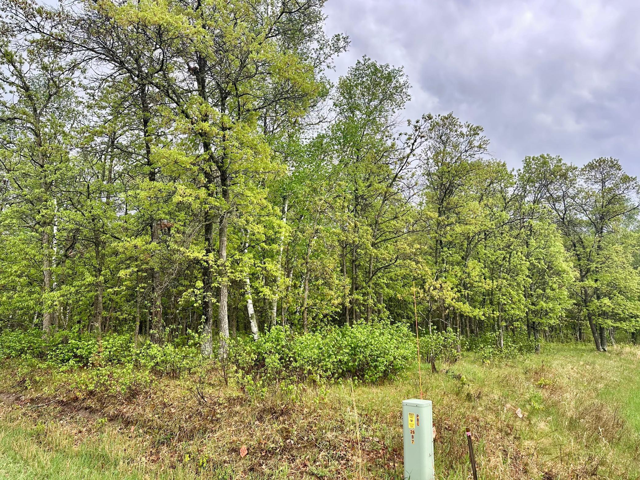 TBD Lot 3 204th St, Park Rapids, Minnesota image 1
