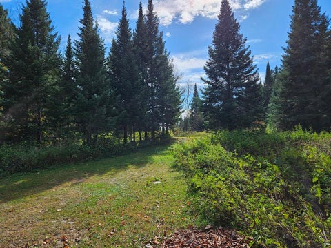 Vacant Land For Sale - LT 3 BLK 1 County Rd 238 Ave<br/> Itasca County, Deer River, MN 56636