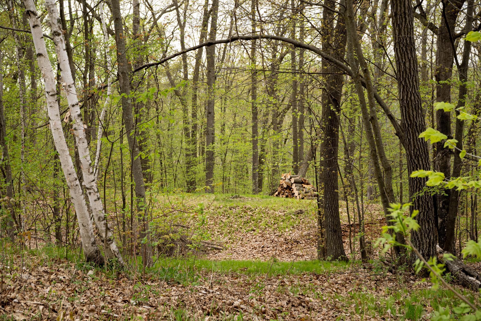 TBD White Pine Circle, Cushing, Minnesota image 6