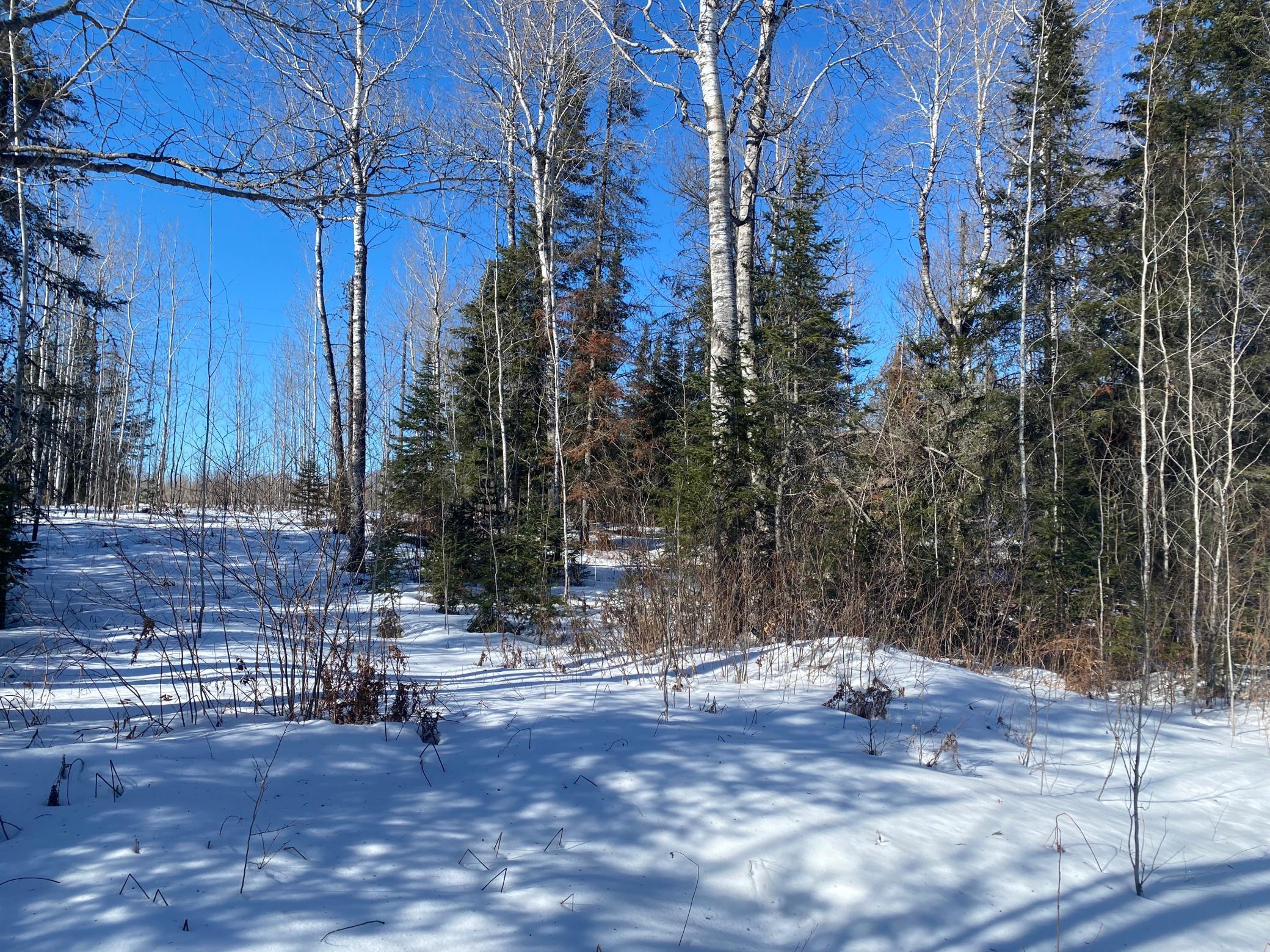 7199 Clover Rd. Rd, Virginia, Minnesota image 10