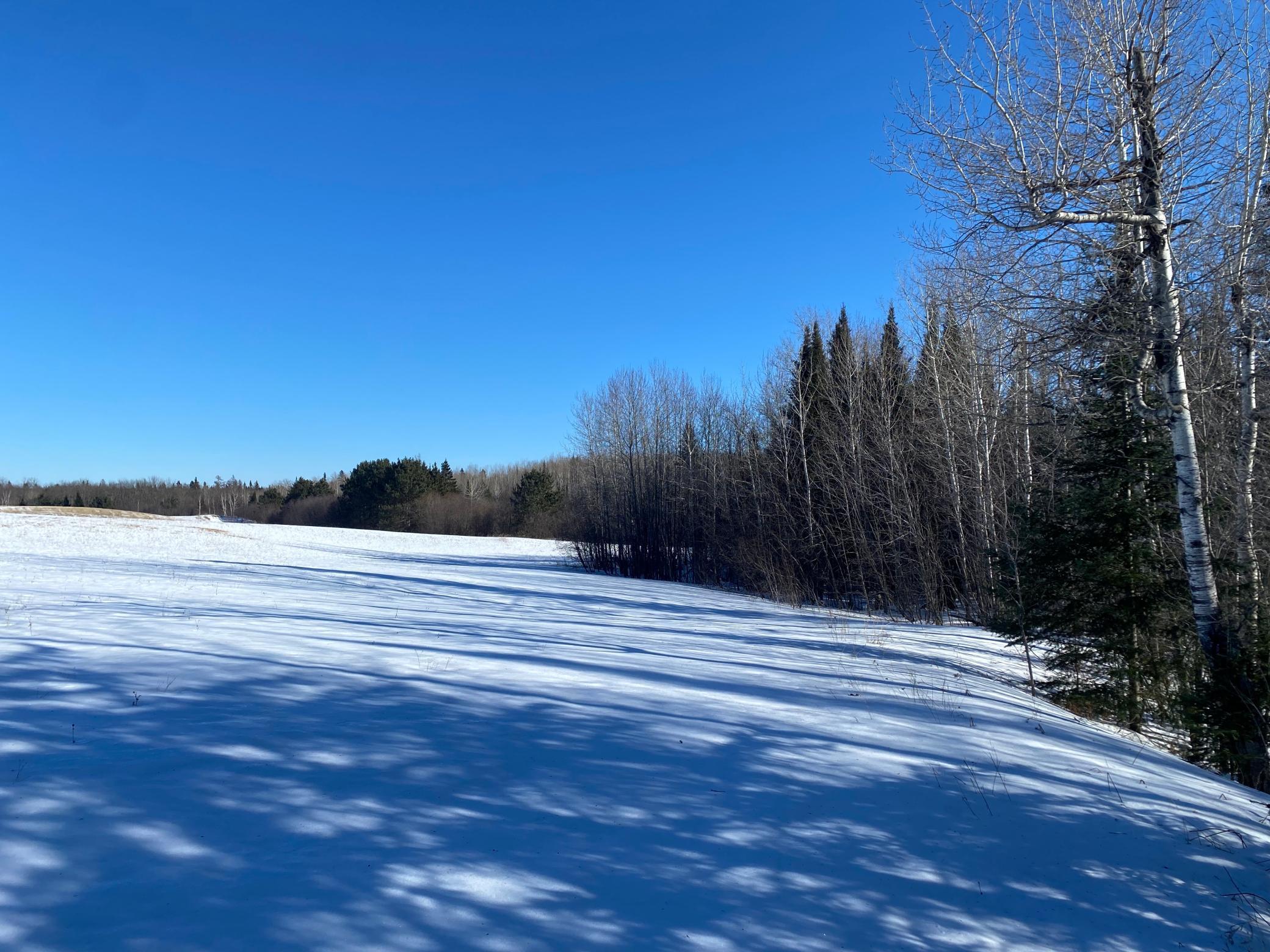 7199 Clover Rd. Rd, Virginia, Minnesota image 18