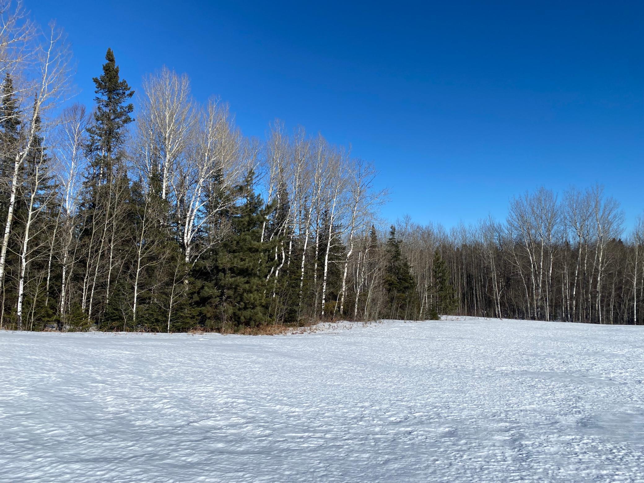 7199 Clover Rd. Rd, Virginia, Minnesota image 36