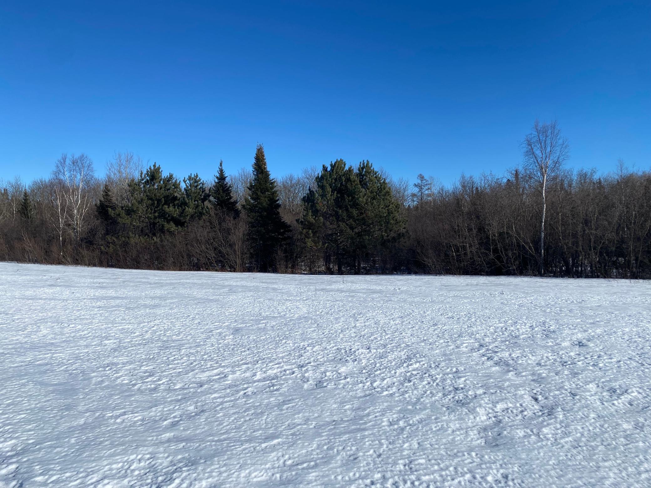 7199 Clover Rd. Rd, Virginia, Minnesota image 32