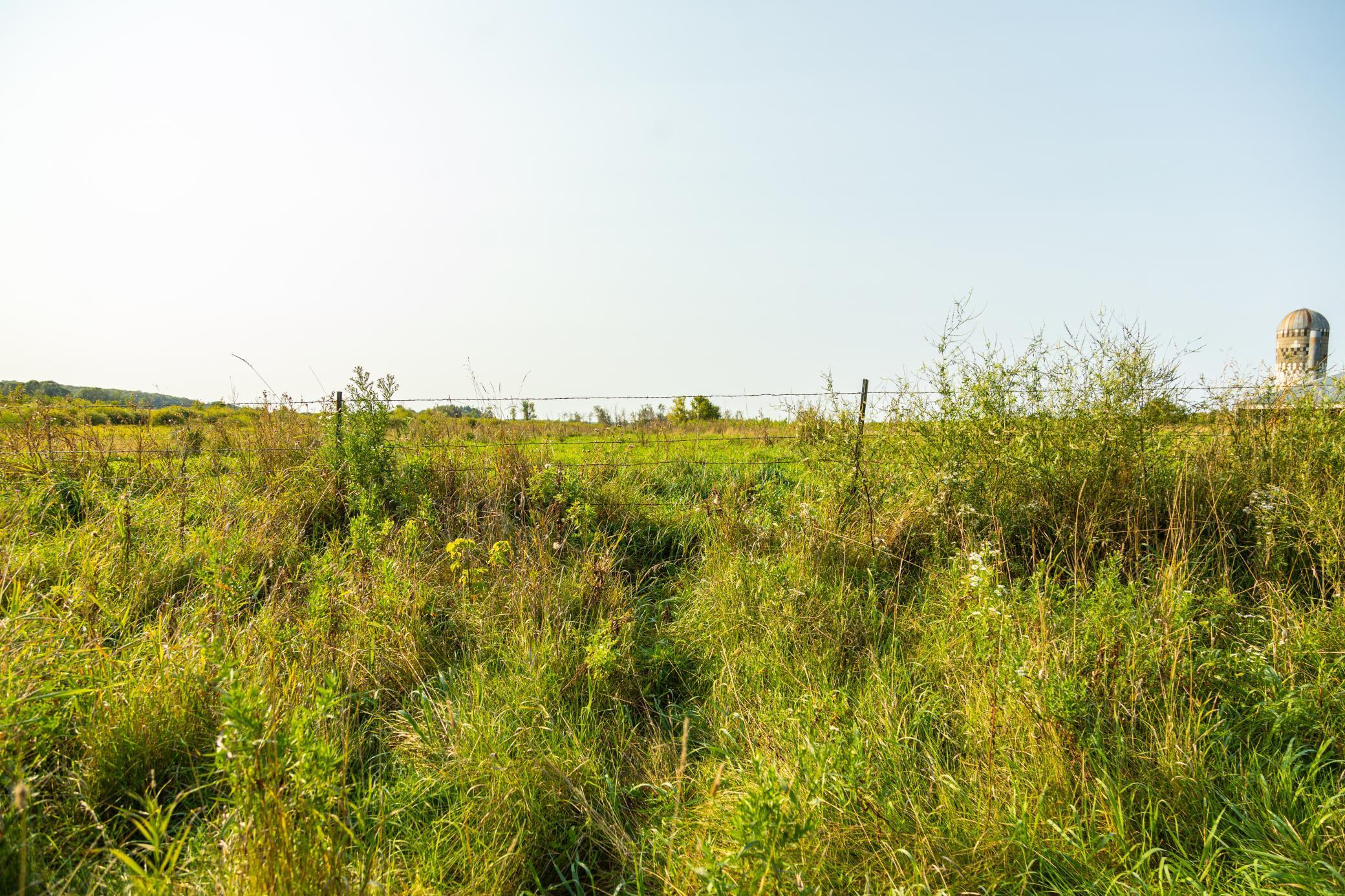 TBD 380th Street, Browerville, Minnesota image 18