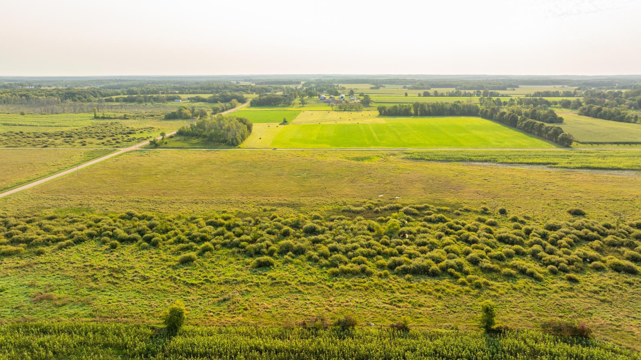 TBD 380th Street, Browerville, Minnesota image 22