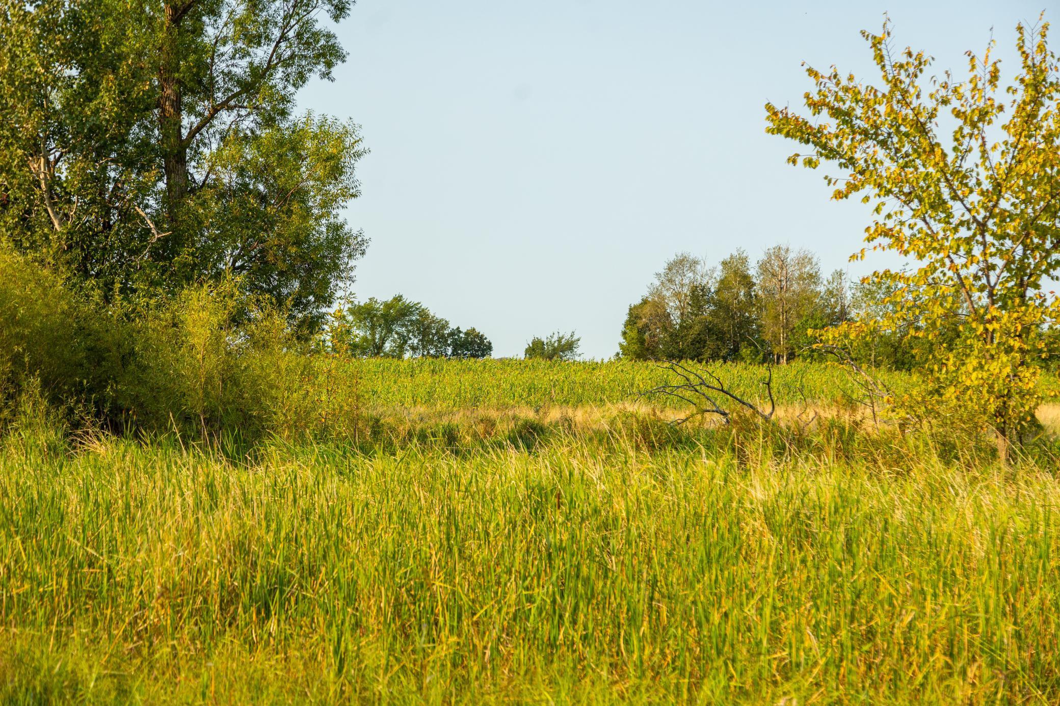 TBD 380th Street, Browerville, Minnesota image 8