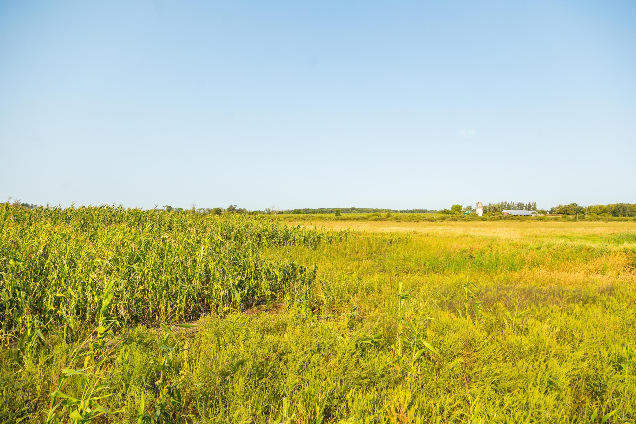 TBD 380th Street, Browerville, Minnesota image 12