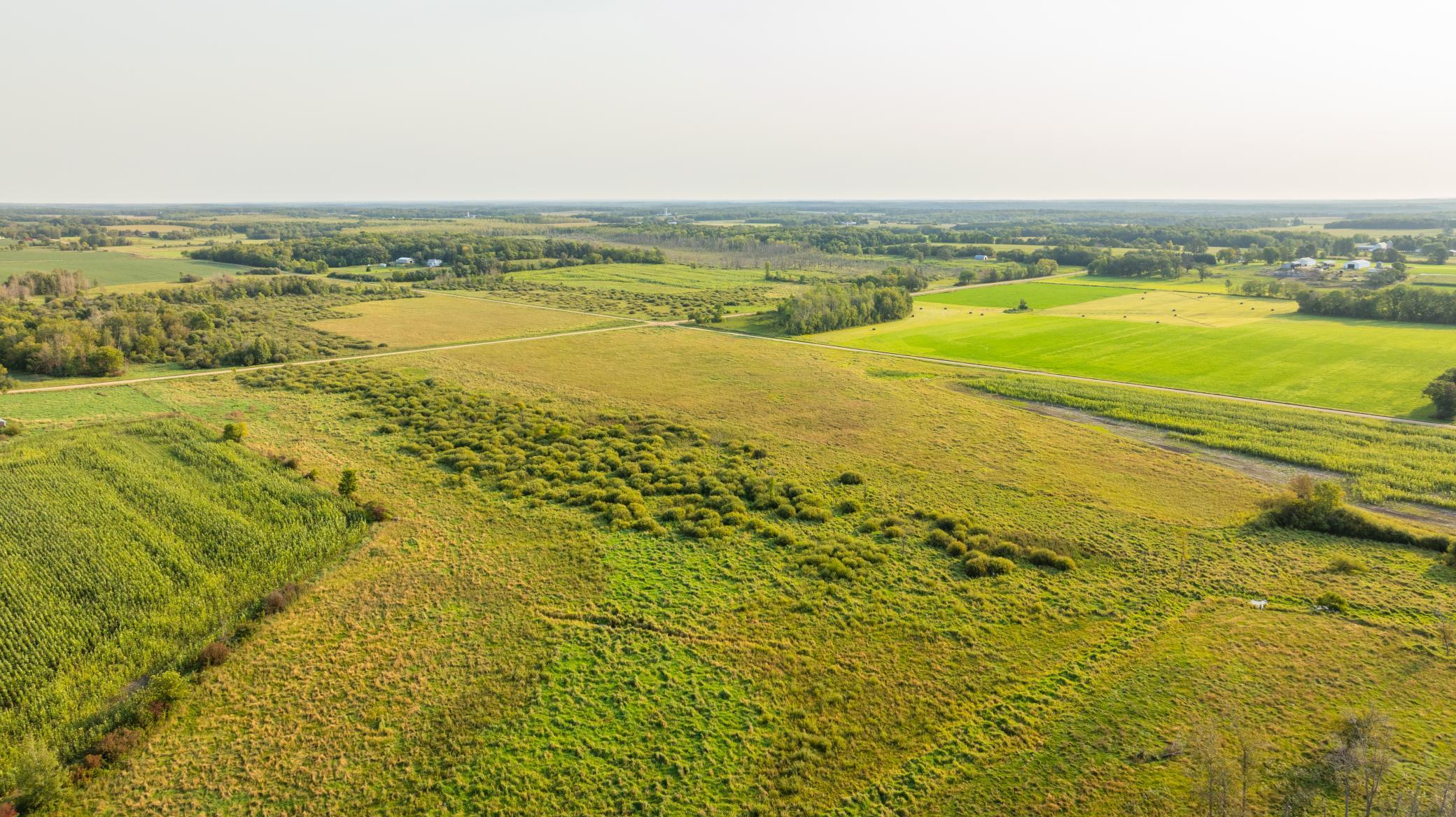 TBD 380th Street, Browerville, Minnesota image 26