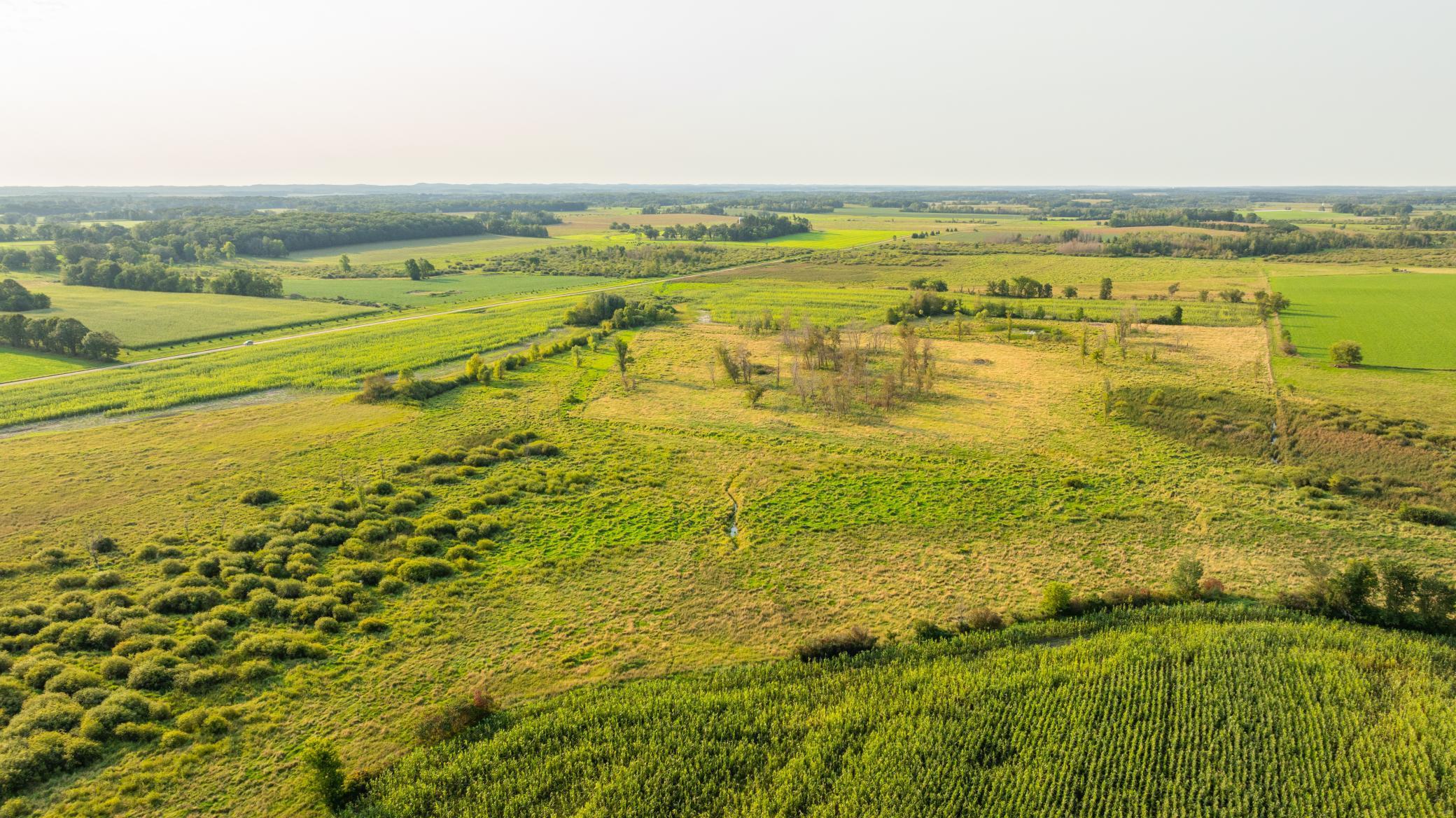 TBD 380th Street, Browerville, Minnesota image 21