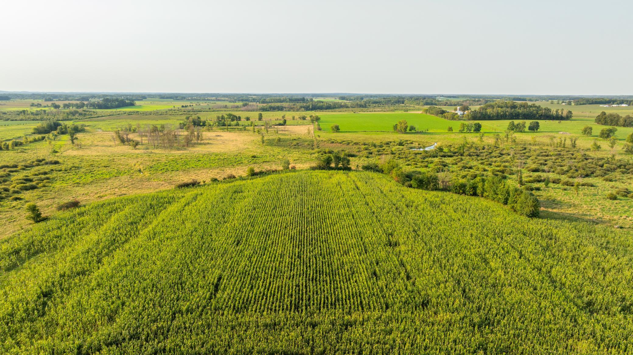 TBD 380th Street, Browerville, Minnesota image 1