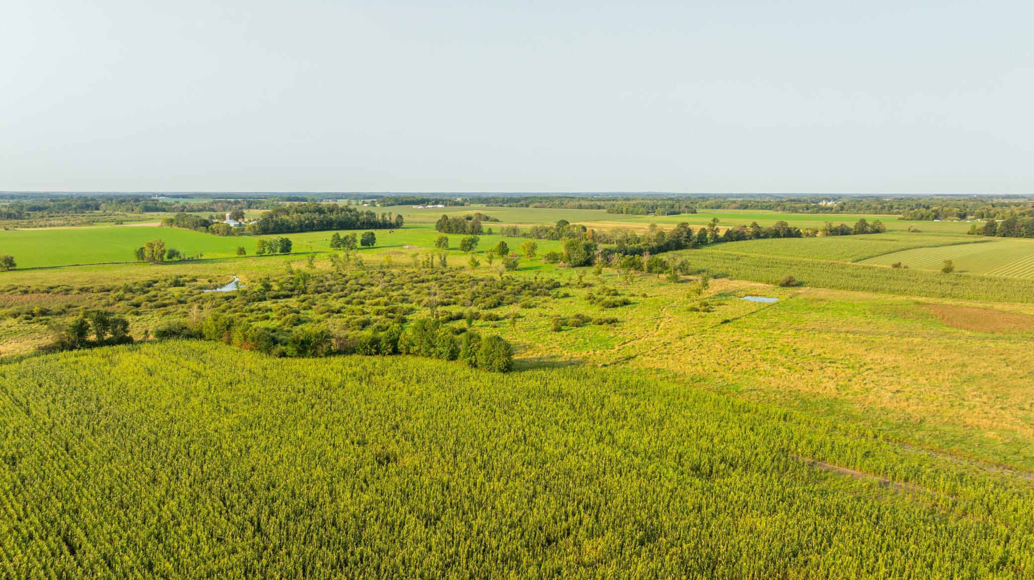 TBD 380th Street, Browerville, Minnesota image 20