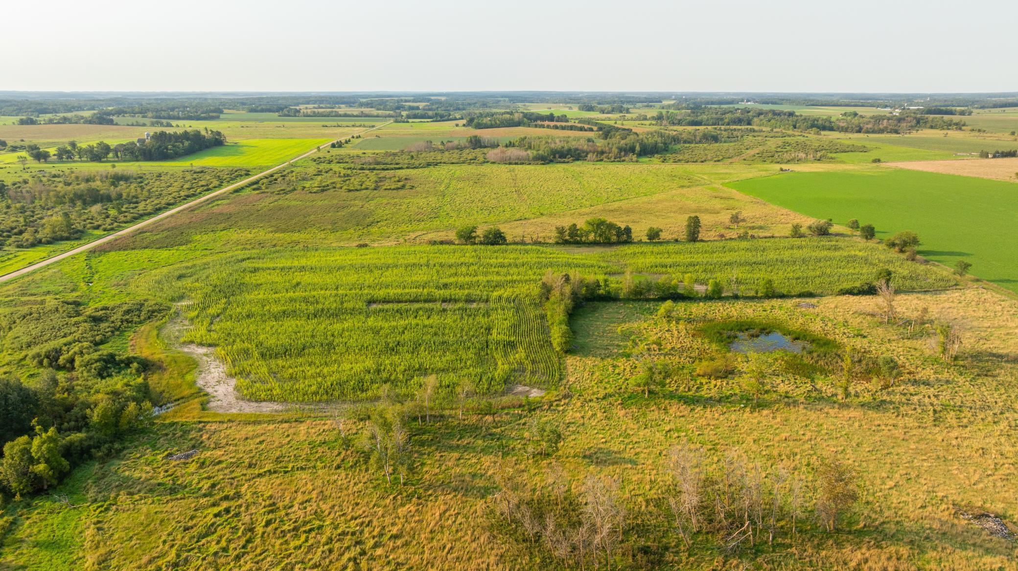 TBD 380th Street, Browerville, Minnesota image 29