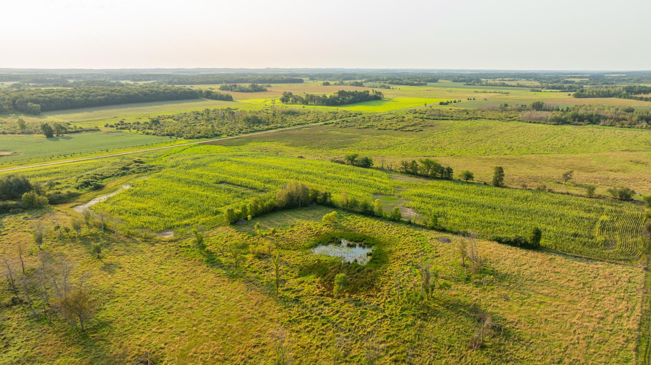 TBD 380th Street, Browerville, Minnesota image 28