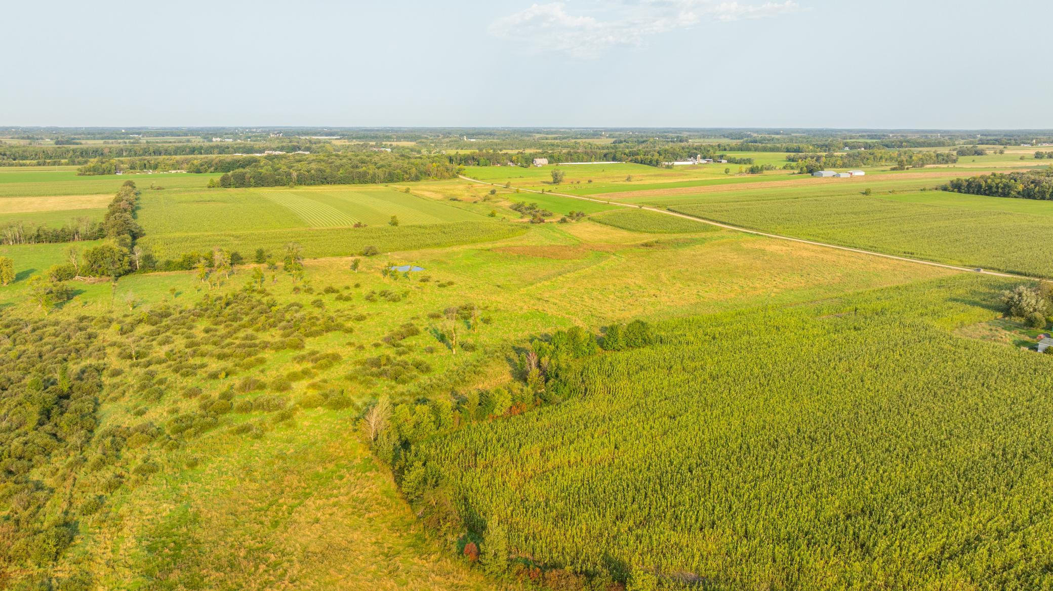 TBD 380th Street, Browerville, Minnesota image 25