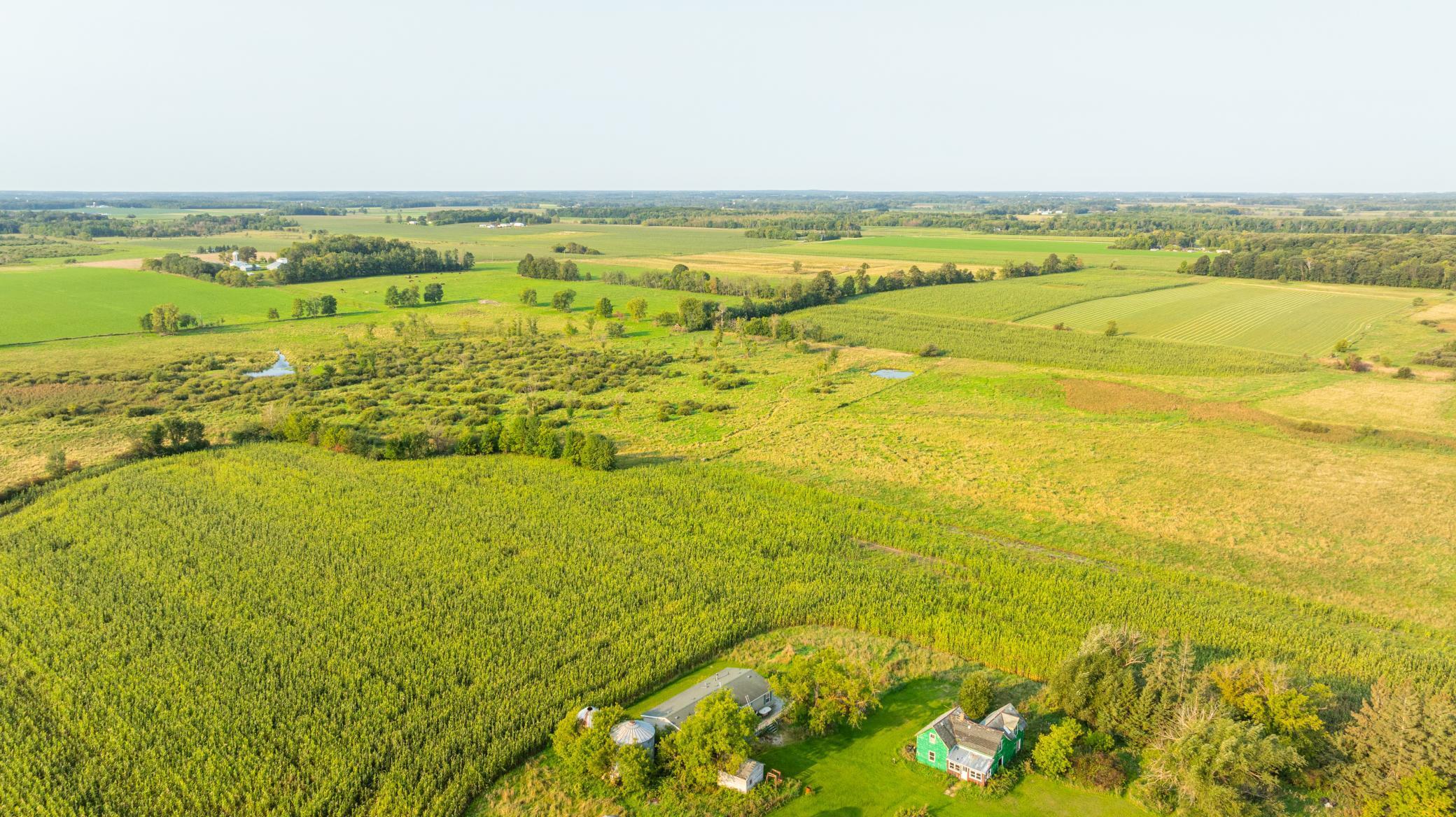 TBD 380th Street, Browerville, Minnesota image 44