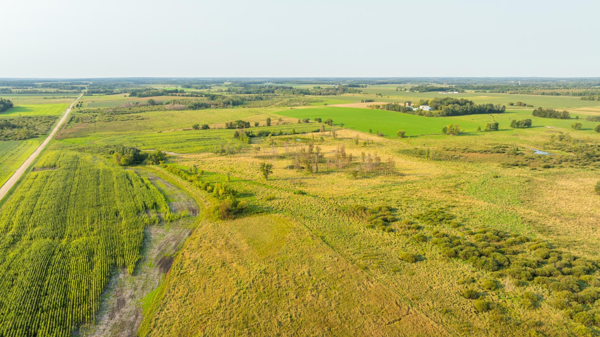 TBD 380th Street, Browerville, Minnesota image 42