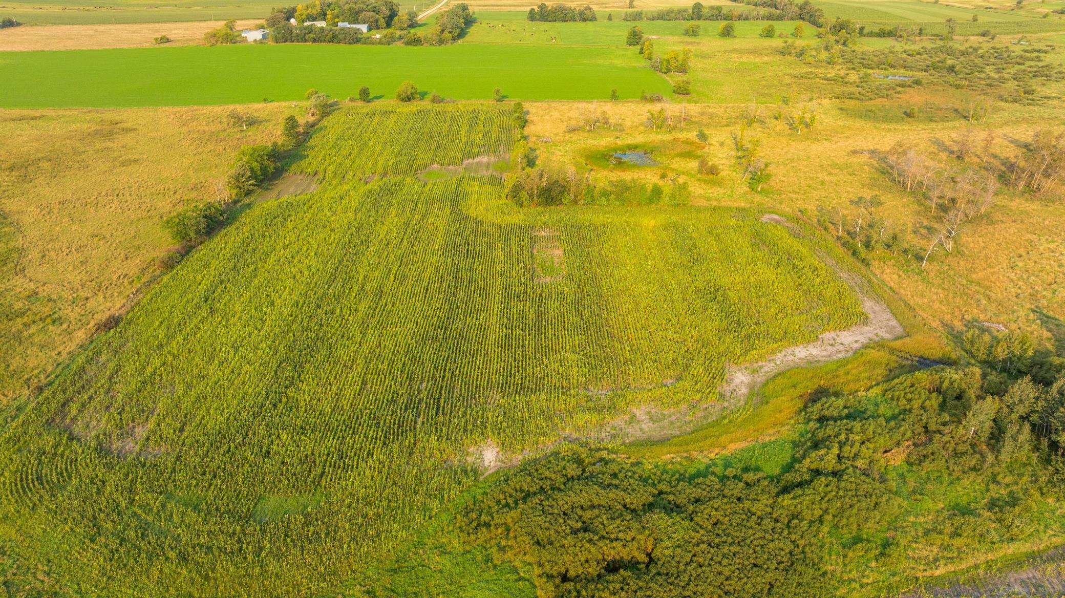 TBD 380th Street, Browerville, Minnesota image 33