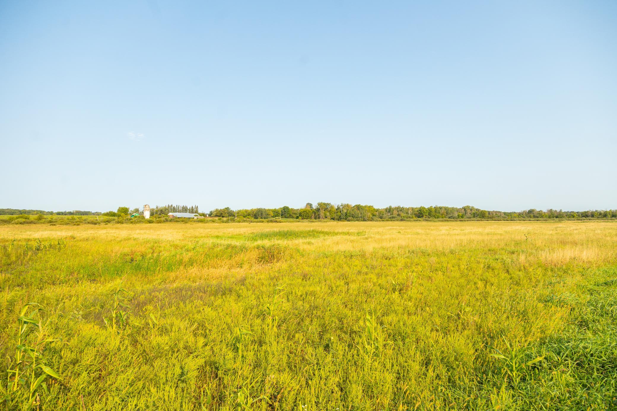 TBD 380th Street, Browerville, Minnesota image 13