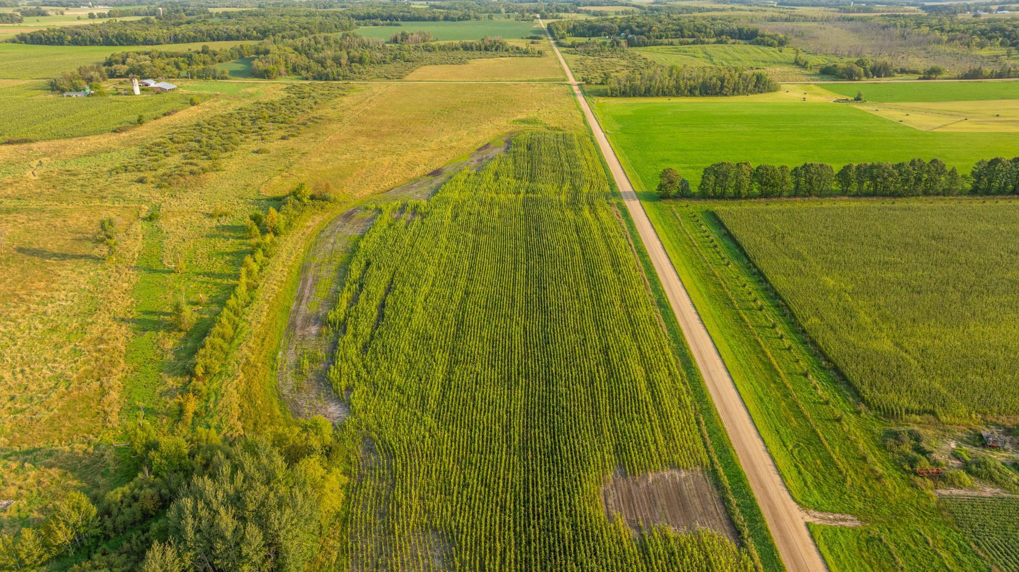 TBD 380th Street, Browerville, Minnesota image 32