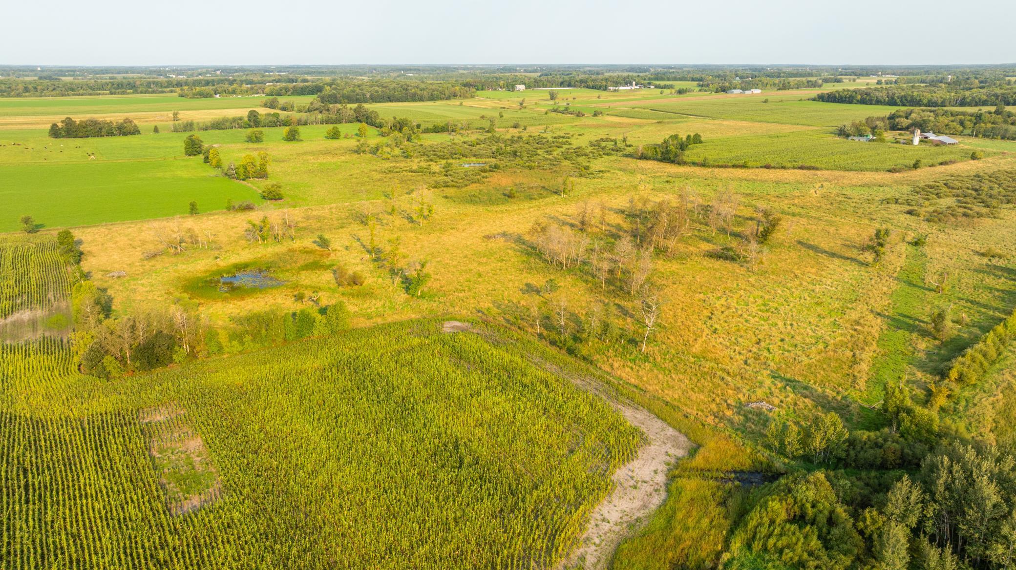 TBD 380th Street, Browerville, Minnesota image 34