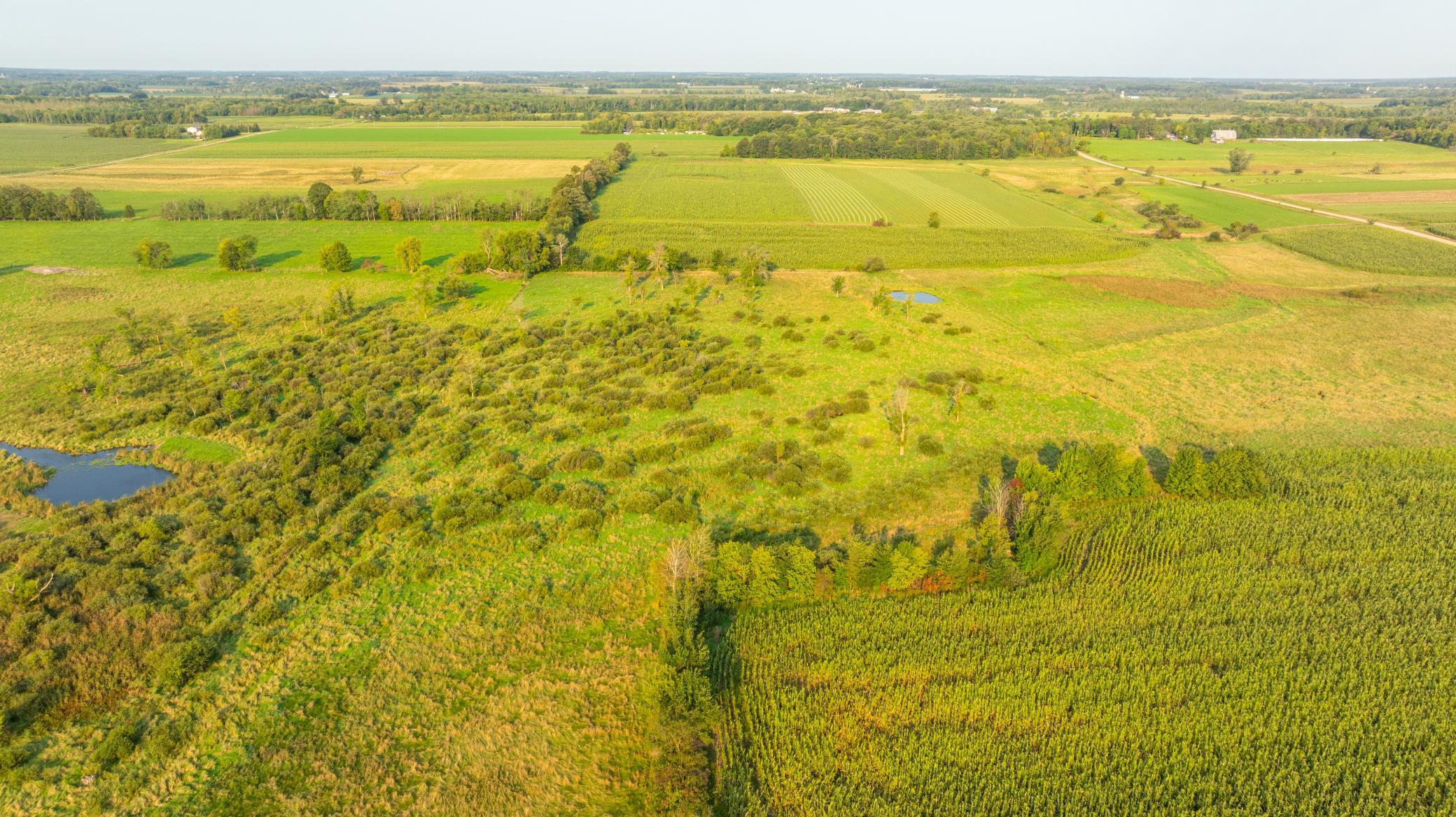 TBD 380th Street, Browerville, Minnesota image 24