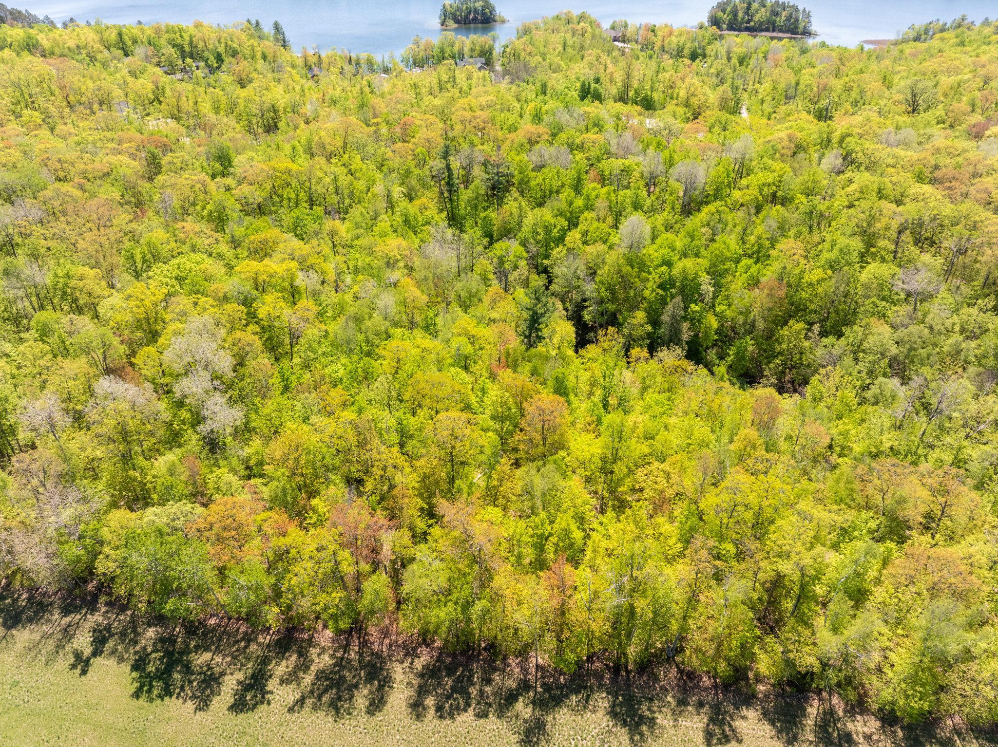 Lot 12 BLK 1 Nicholas St Nicholas Street, Grand Rapids, Minnesota image 8