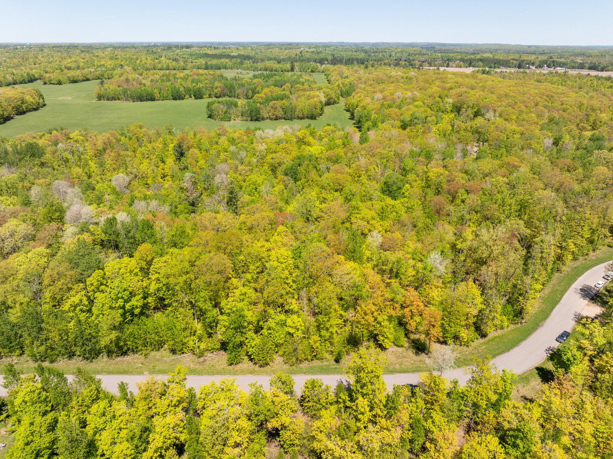 Lot 12 BLK 1 Nicholas St Nicholas Street, Grand Rapids, Minnesota image 5
