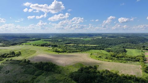 Vacant Land For Sale - TBD Dunn Road<br/> Caledonia, MN 55921