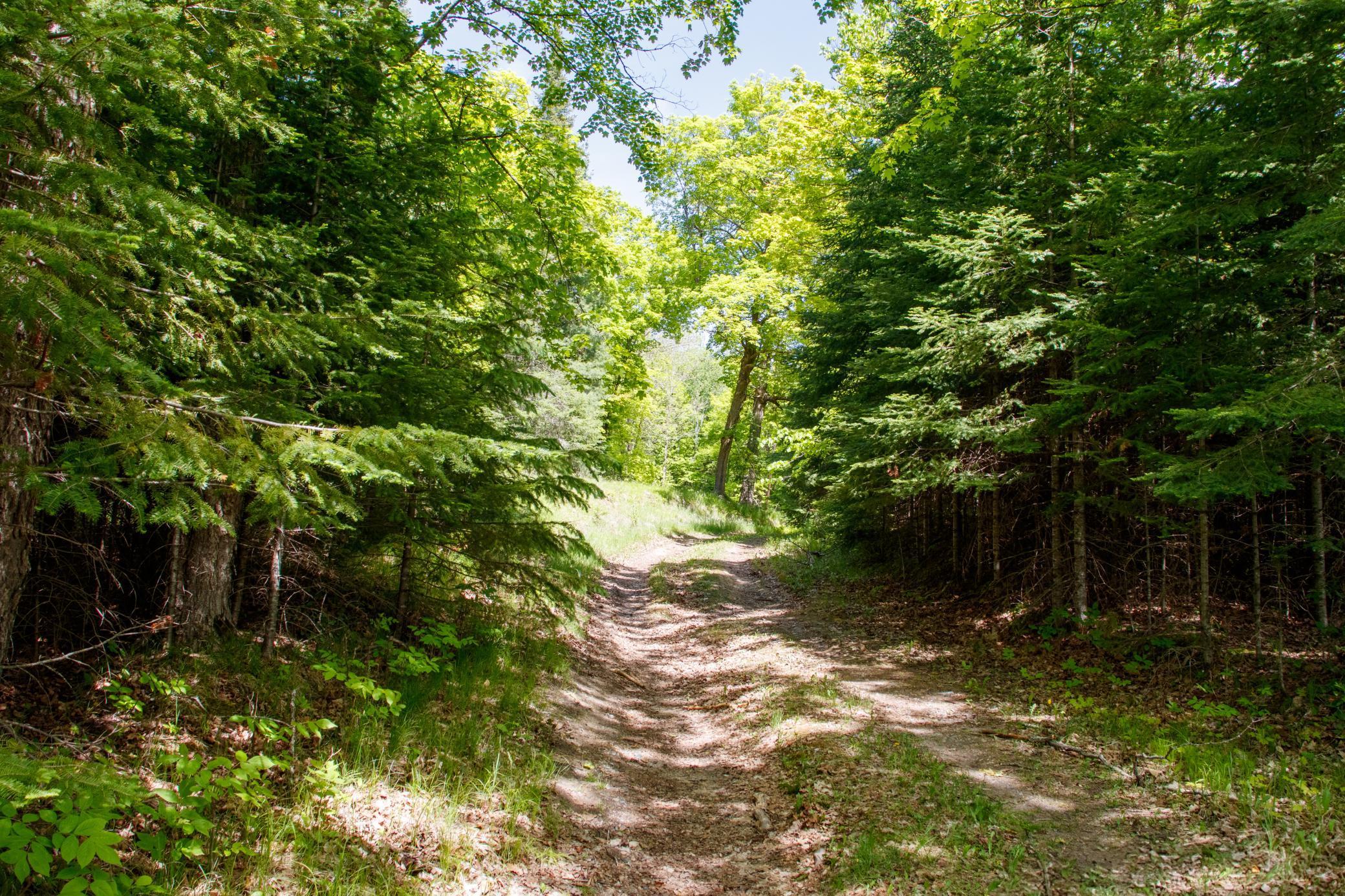 6583 Graves Lake Drive, Remer, Minnesota image 9