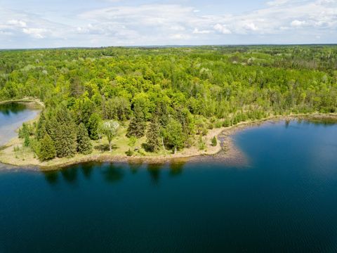 Vacant Land For Sale - 6583 Graves Lake Drive<br/> Remer, MN 56672