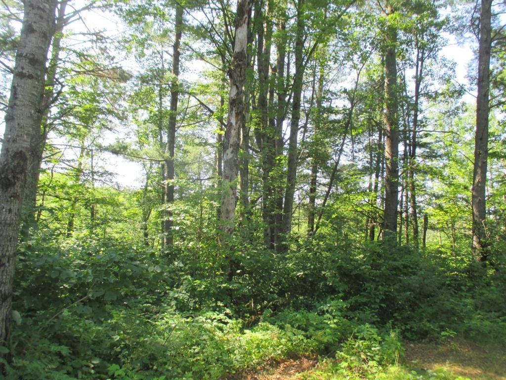 Lot 2 State Road 27/70, Couderay, Wisconsin image 5