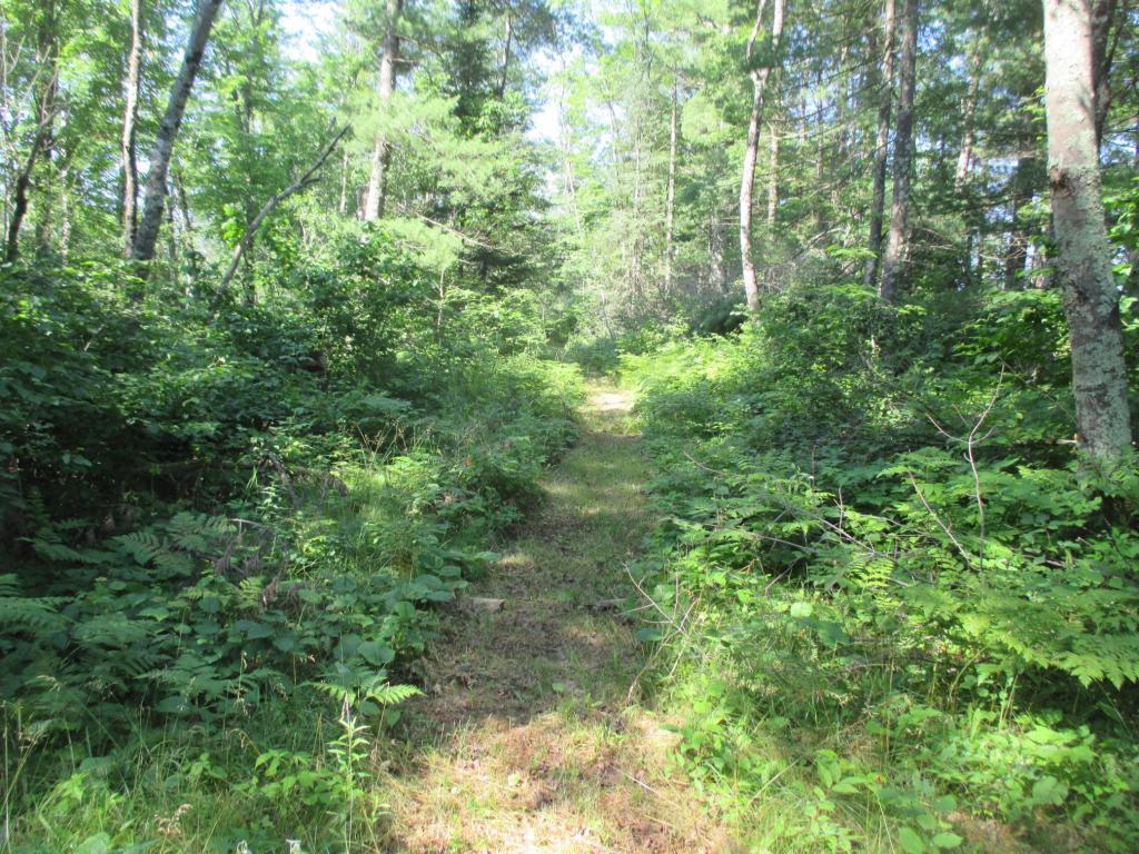 Lot 2 State Road 27/70, Couderay, Wisconsin image 3