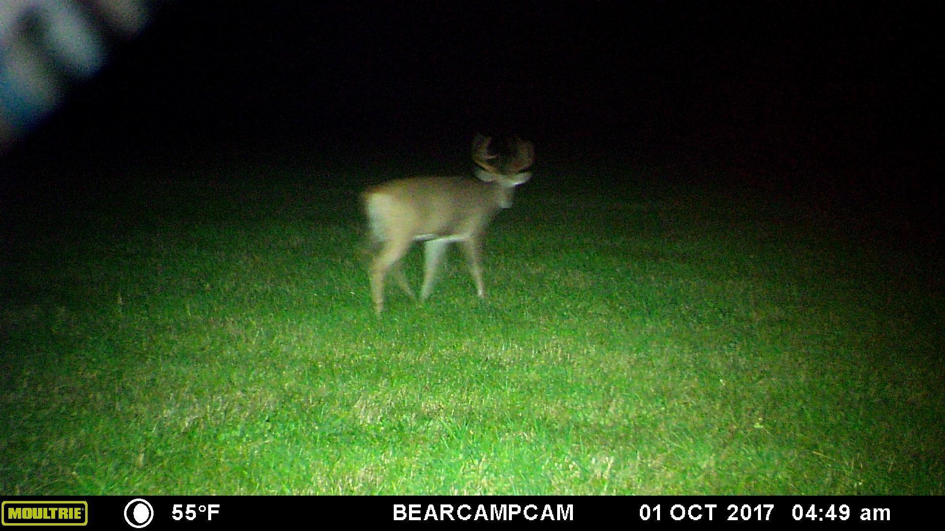 TBD Sage Drive, Backus, Minnesota image 12