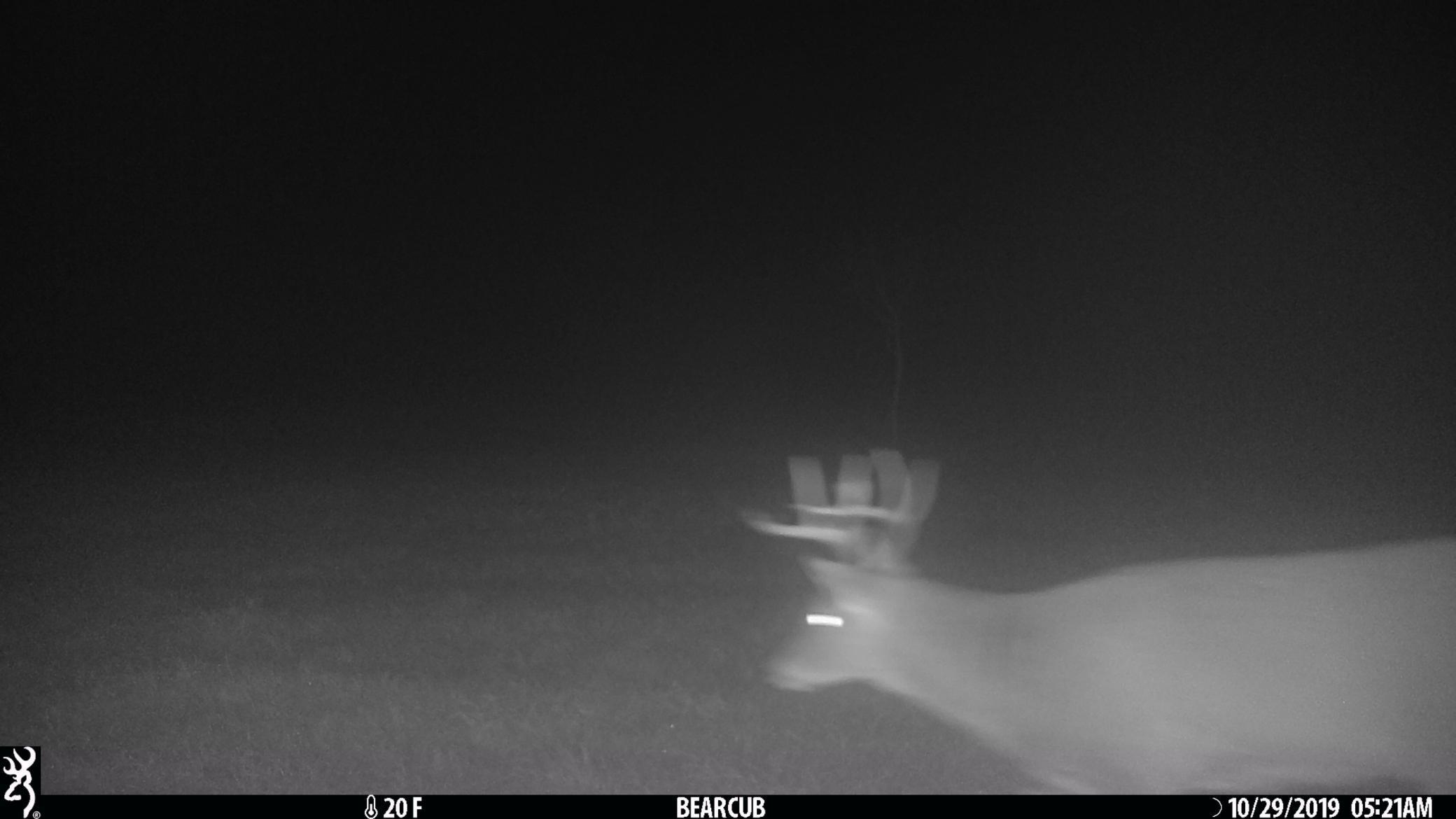 TBD Sage Drive, Backus, Minnesota image 9