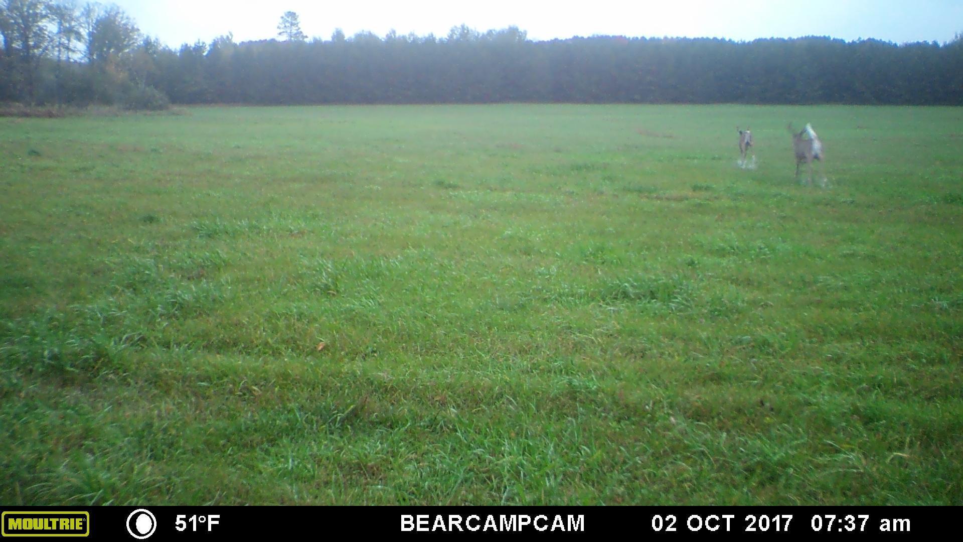 TBD Sage Drive, Backus, Minnesota image 10