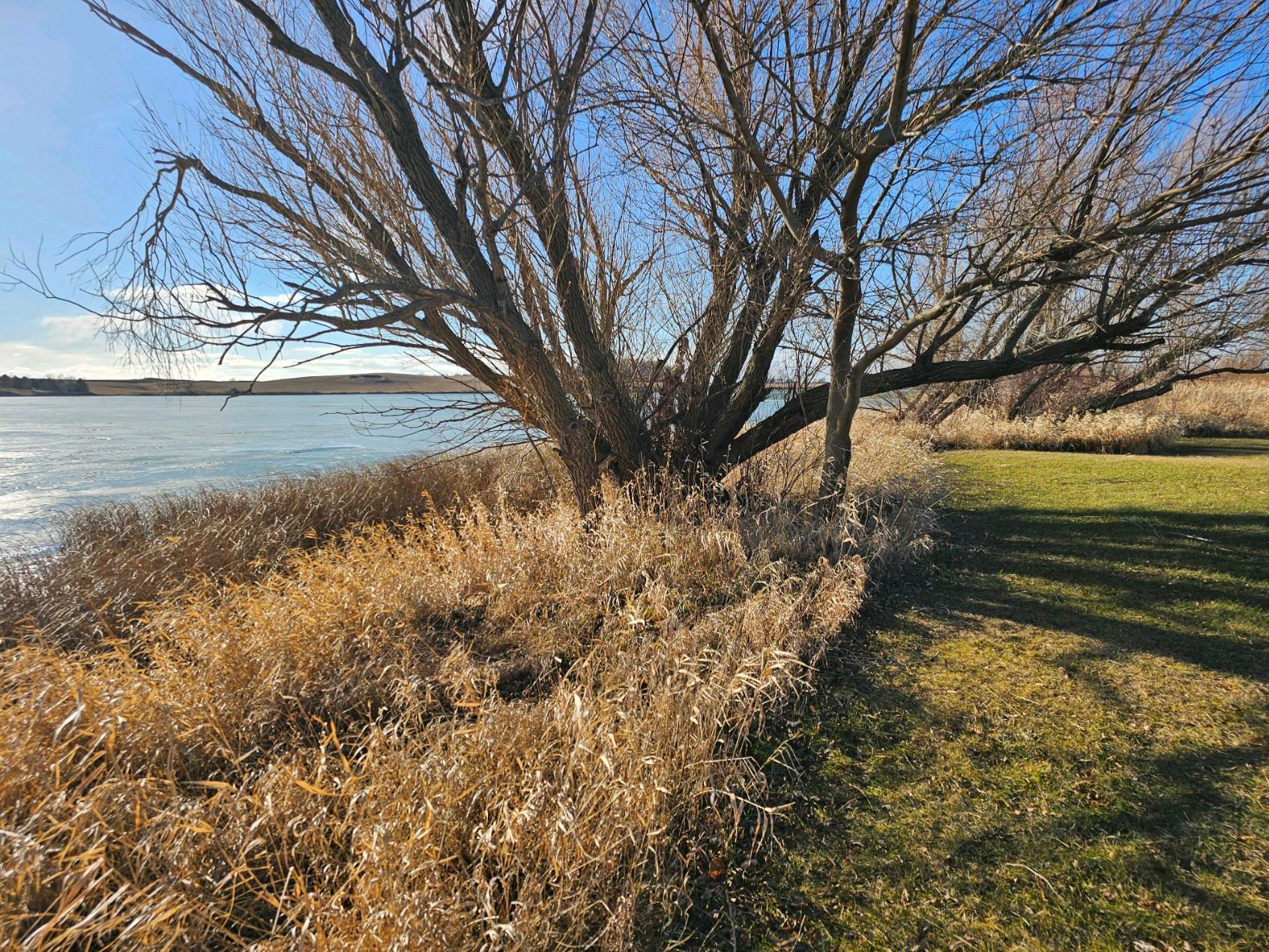 TBD W 1st Street, Hadley, Minnesota image 9